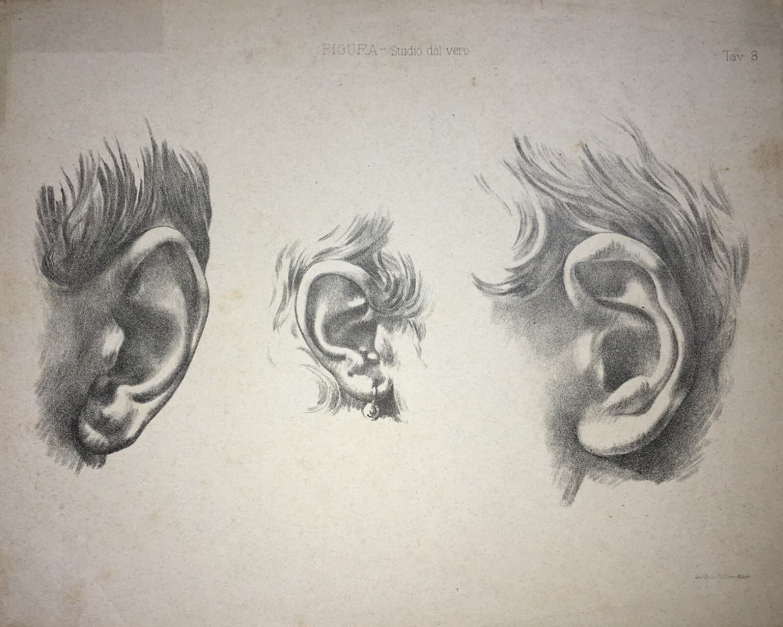 Organi Di Senso, Udito, Orecchio: Studi Artistici. Antica Stampa Treves