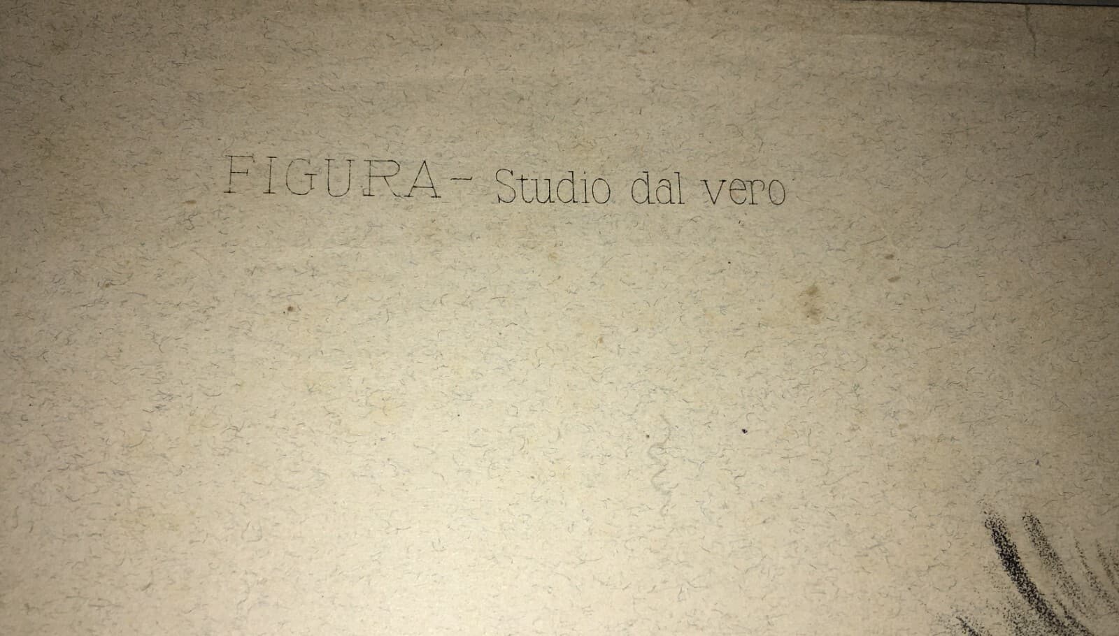 Organi Di Senso, Udito, Orecchio: Studi Artistici. Antica Stampa Treves