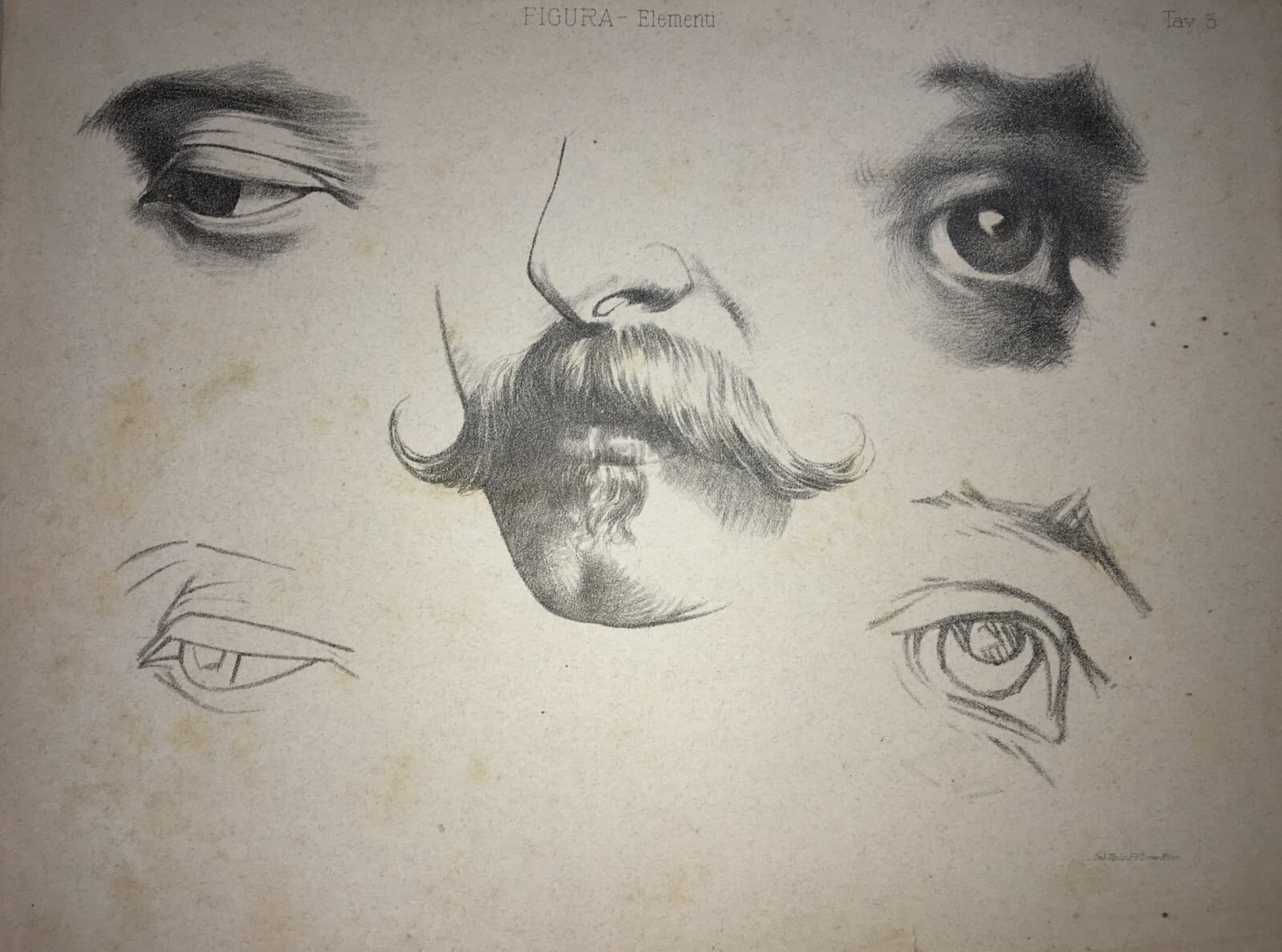 Organi Di Senso: Occhio, Vista, Naso, Odorato. Stampa Artistica Treves