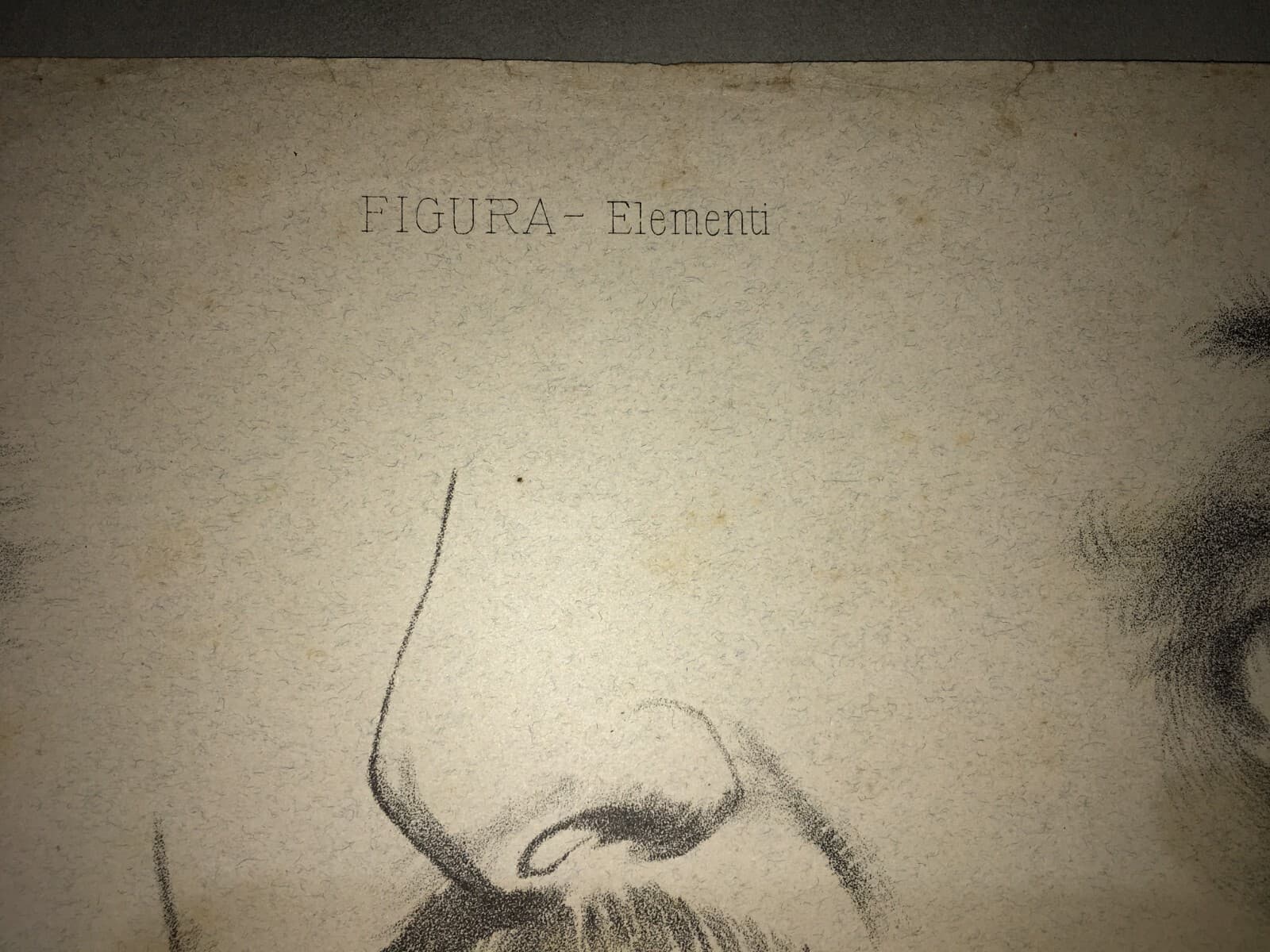 Organi Di Senso: Occhio, Vista, Naso, Odorato. Stampa Artistica Treves