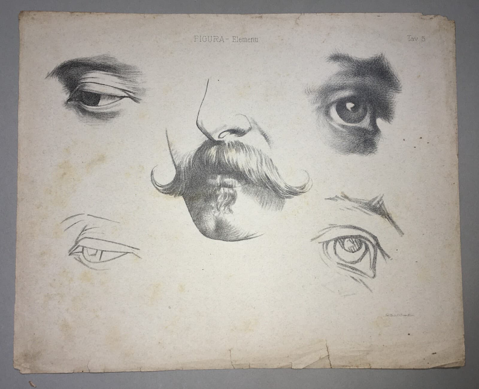 Organi Di Senso: Occhio, Vista, Naso, Odorato. Stampa Artistica Treves