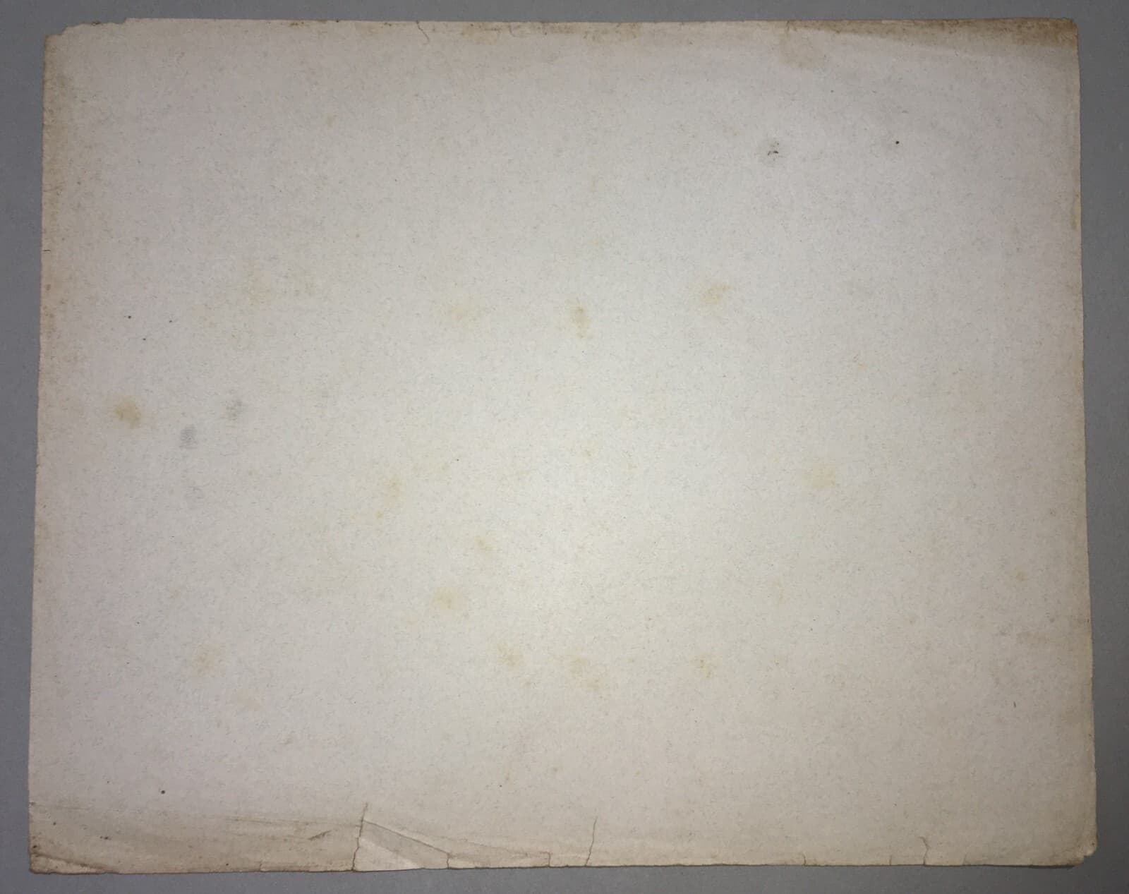 Organi Di Senso: Occhio, Vista, Naso, Odorato. Stampa Artistica Treves