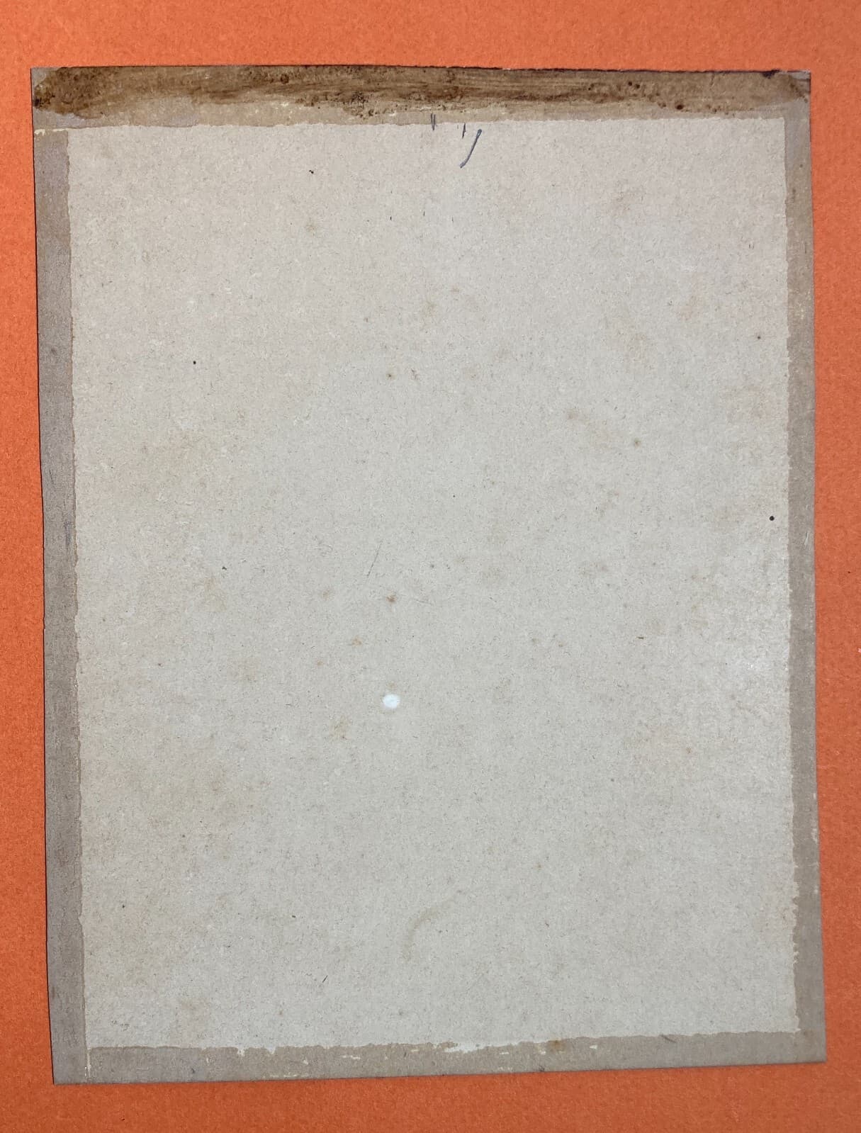 Ritratto Di Gentildonna, Fratelli d'Alessandri, Abruzzo, 1876