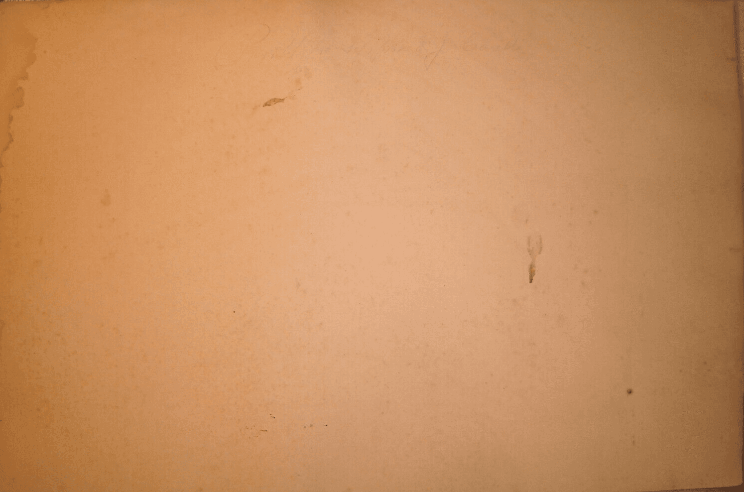 Arte Napoletana Dell'800: Posillipo, Veduta Panoramica Di Carelli