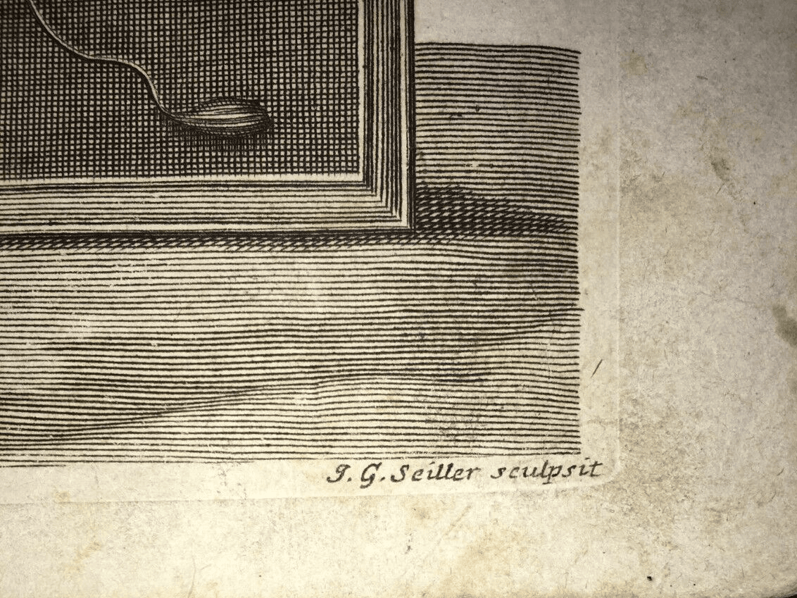 Medicina. Anatomia Umana: Muscoli. Antica Incisione Di Johann Georg Seiller, XVIII Secolo.