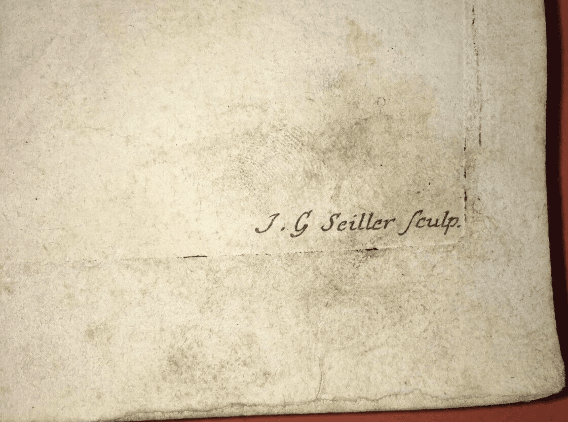 Medicina: Anatomia Umana, Muscolatura Addominale. Johann Georg Seiller, XVIII Secolo