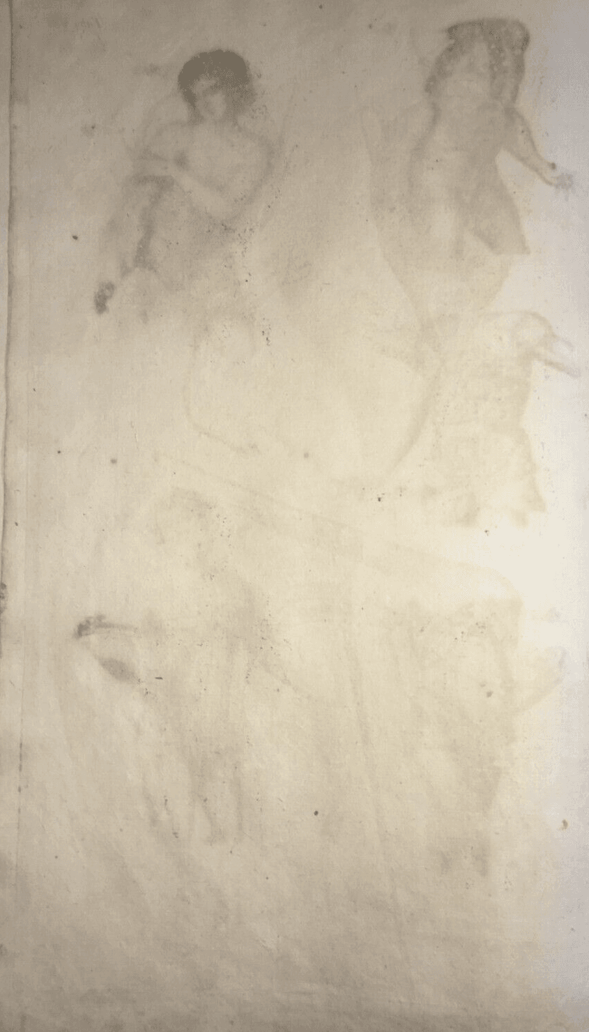 Medicina: Anatomia Umana, Muscolatura Addominale. Johann Georg Seiller, XVIII Secolo