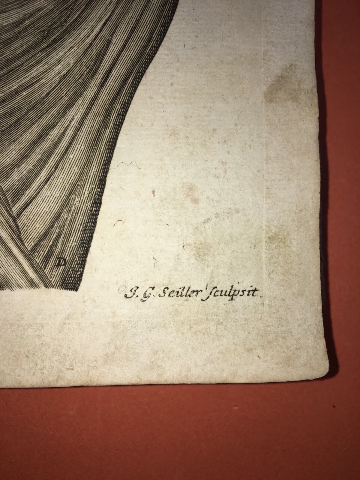 Medicina, Anatomia Umana: Muscolatura Di Testa E Collo. Artista Seiller, XVIII Secolo