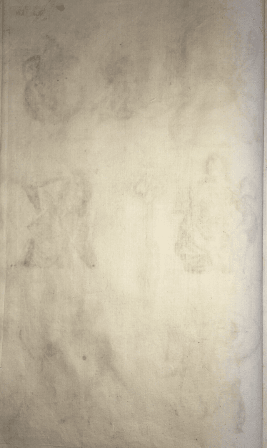 Medicina: Anatomia Umana. Muscolatura Di Collo E Tronco. Artista: Seiller. Incisione