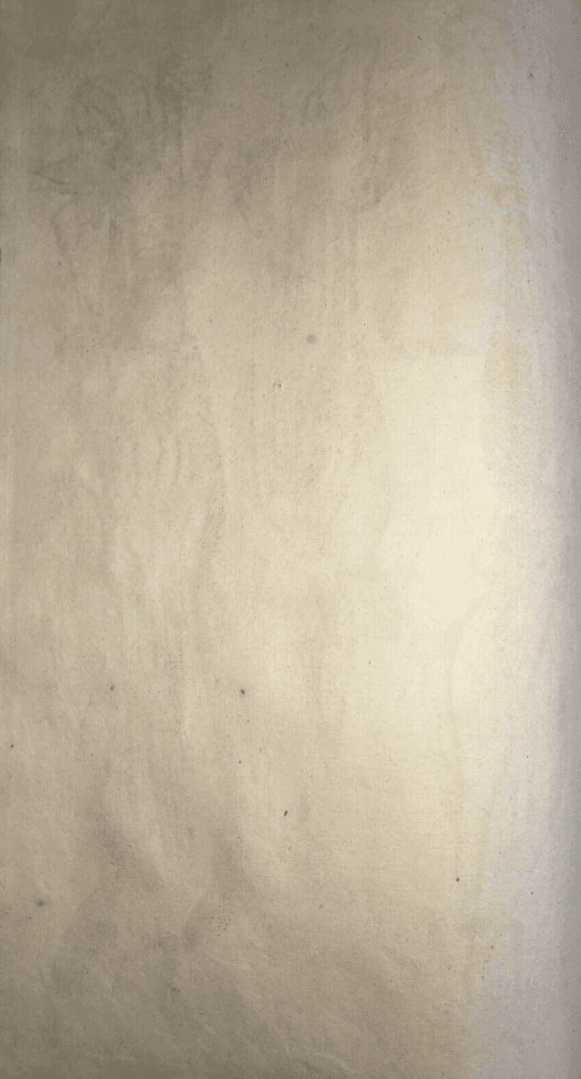 Medicina   Anatomia Umana   Muscolatura Di Tronco E Braccia   Artista Seiller   Rarità