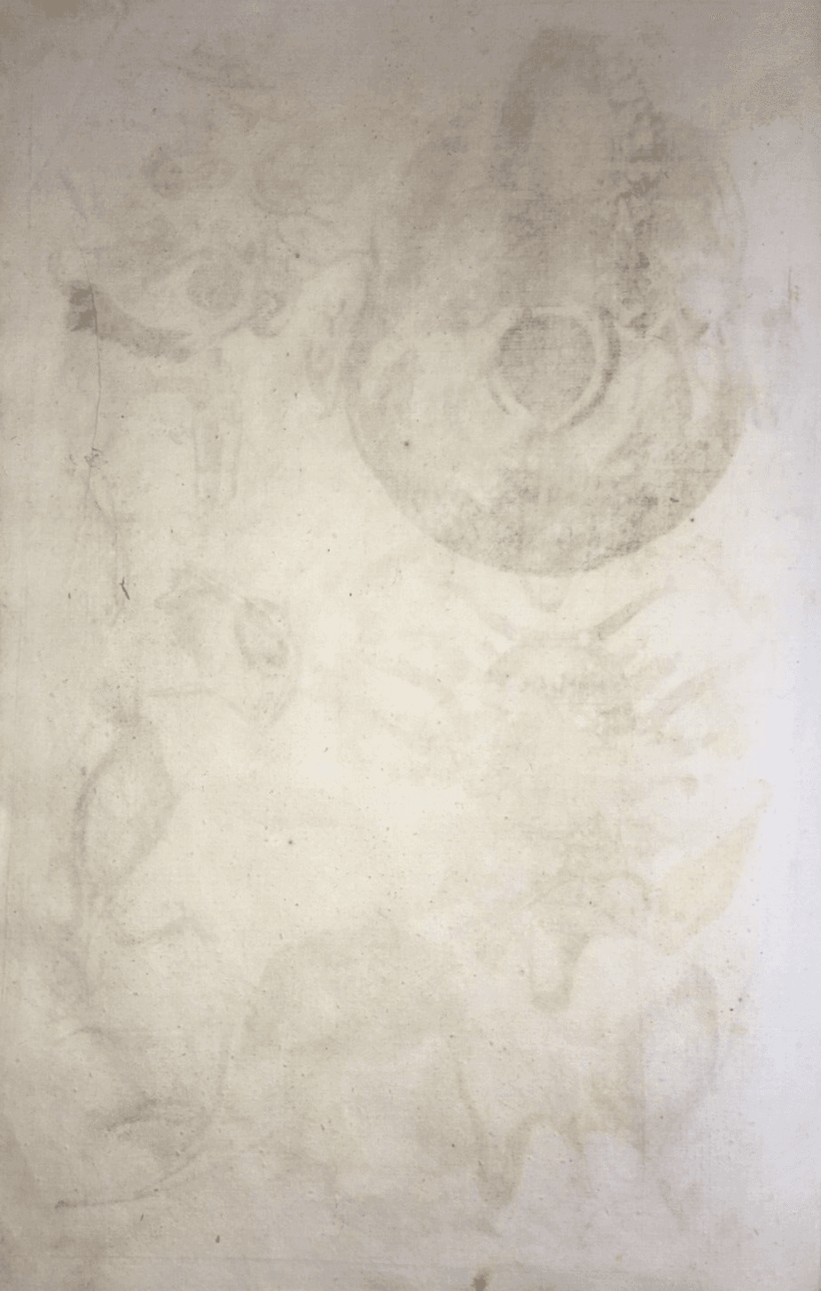 Medicina: Anatomia Umana, Organi Della Gola E Del Collo. Incisione Di Seiller, XVIII Secolo.