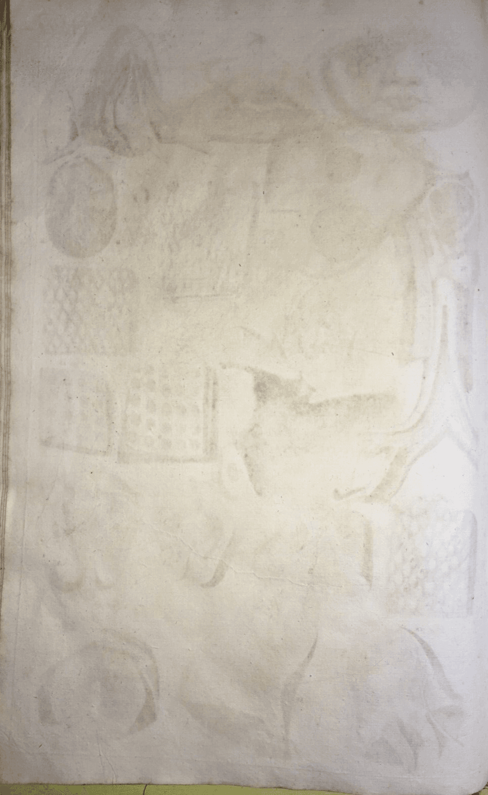 Medicina   Anatomia Umana   Organi Della Bocca E Lingua   Artista Seiller   XVIII Secolo