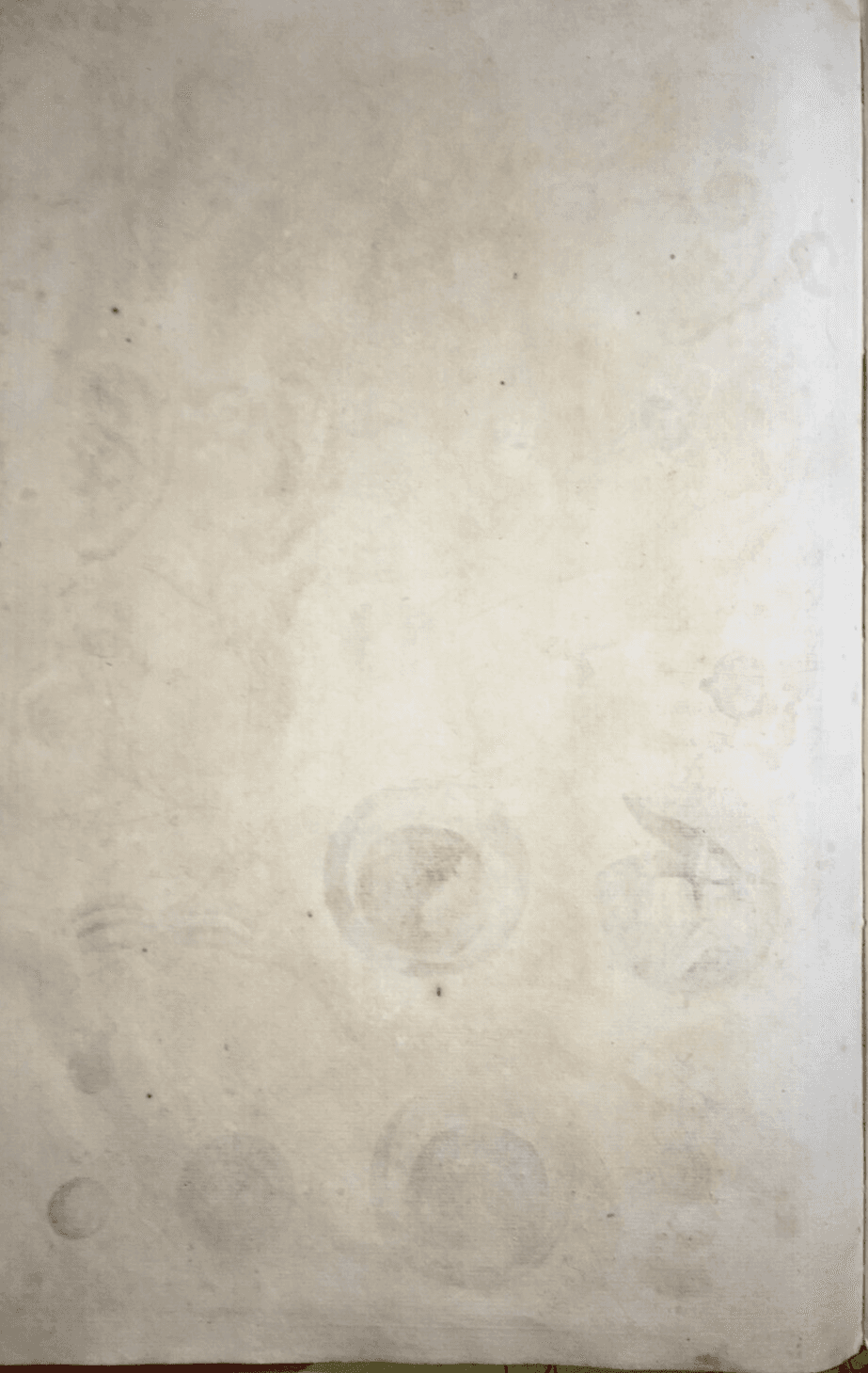 Medicina, Anatomia Umana: L'Occhio. Incisione Di Johann Georg Seiller, XVIII Secolo