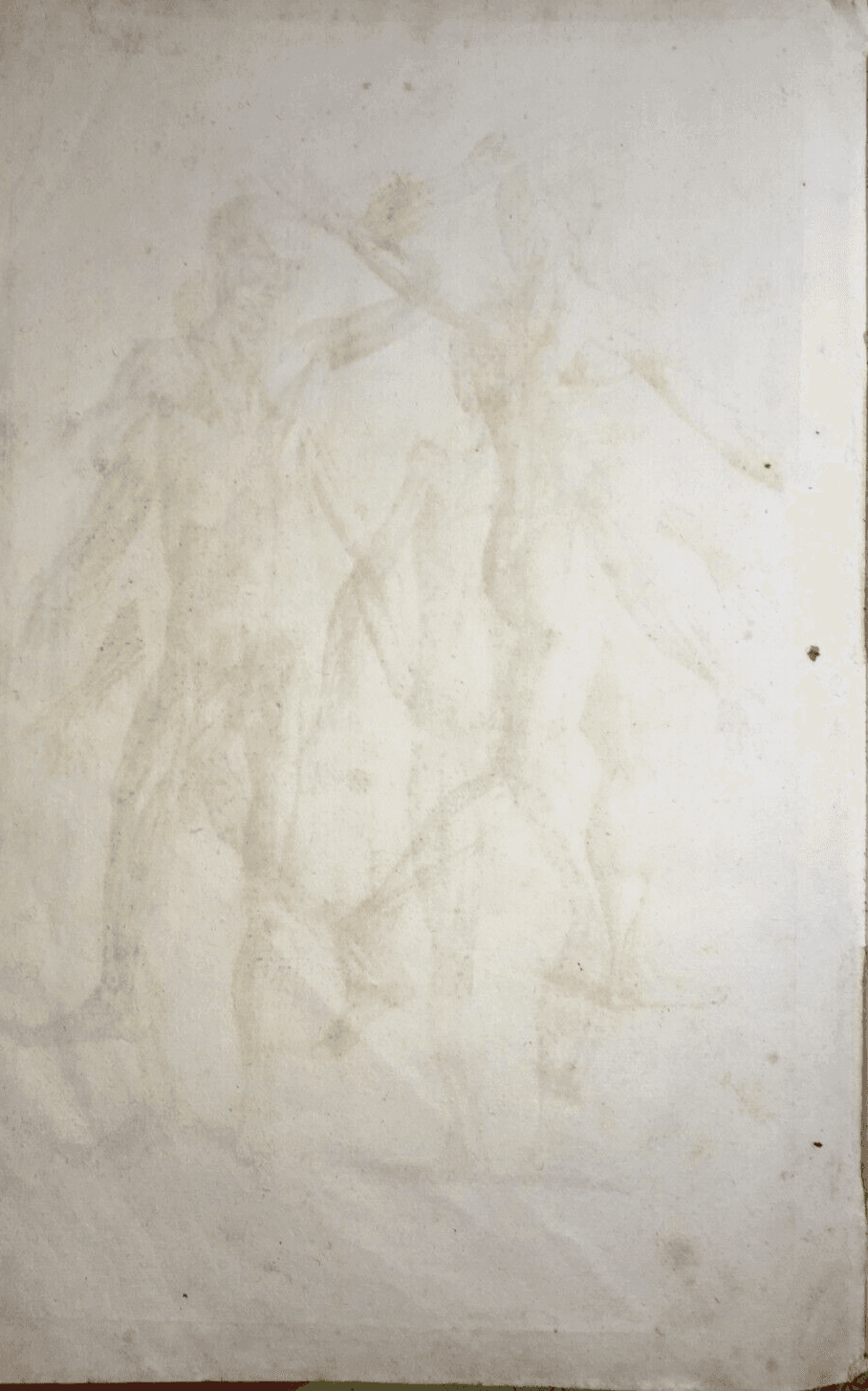 Medicina   Anatomia Umana   Apparato Muscolare Anteriore E Posteriore   Seiller   XVIII Secolo