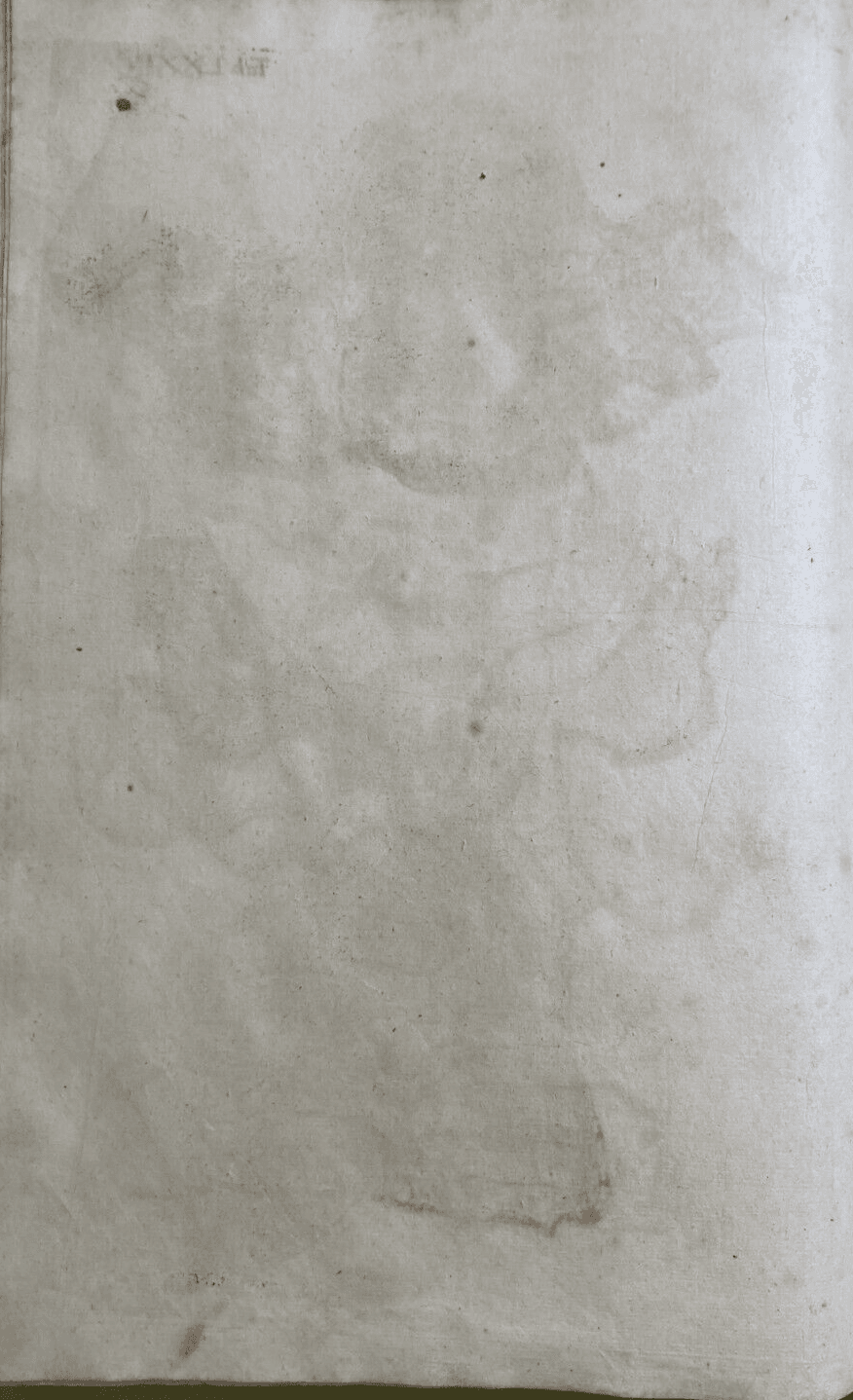 Medicina: Anatomia Umana, Angiologia E Ginecologia (Utero E Ovaie)   Incisore Hartman, XVIII Secolo