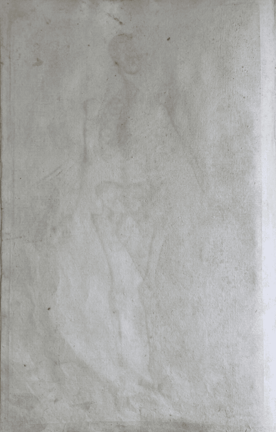 Medicina, Anatomia Umana, Osteologia, Apparato Osseo, Scheletro. Incisione Di Johann Georg Seiller