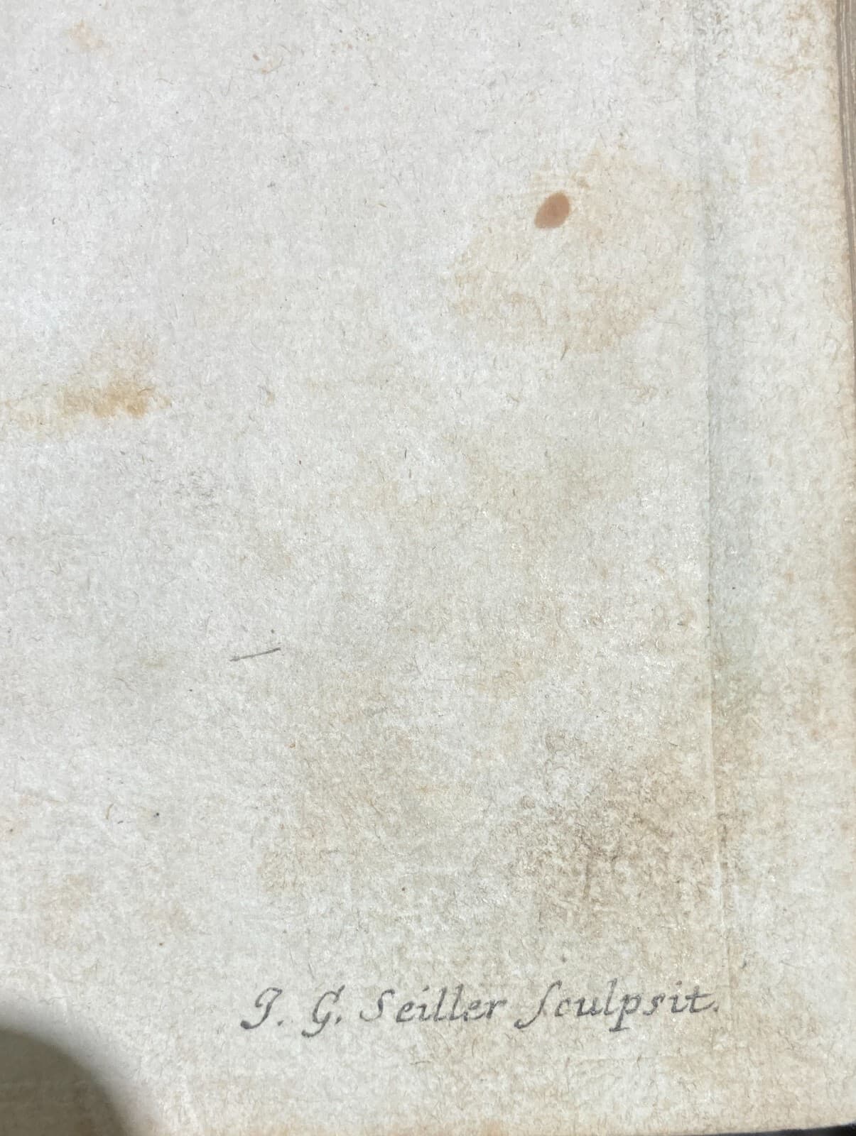 Medicina, Anatomia, Osteologia: Apparato Osseo E Scheletro Umano. Incisione Di Johann Georg Seiller.