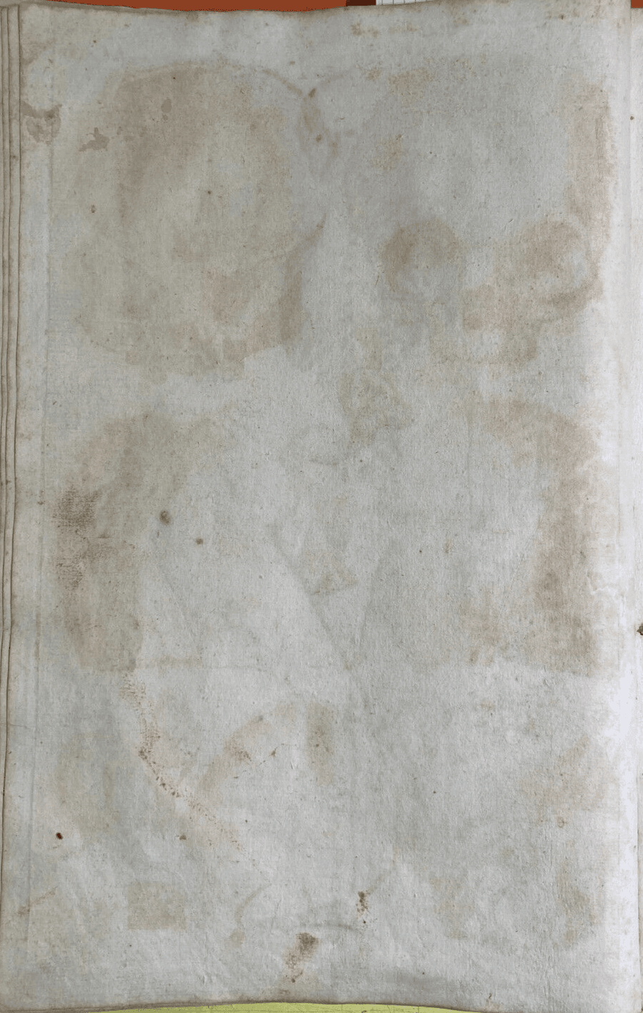 Medicina, Anatomia, Osteologia: Apparato Osseo E Scheletro Umano. Incisione Di Johann Georg Seiller.