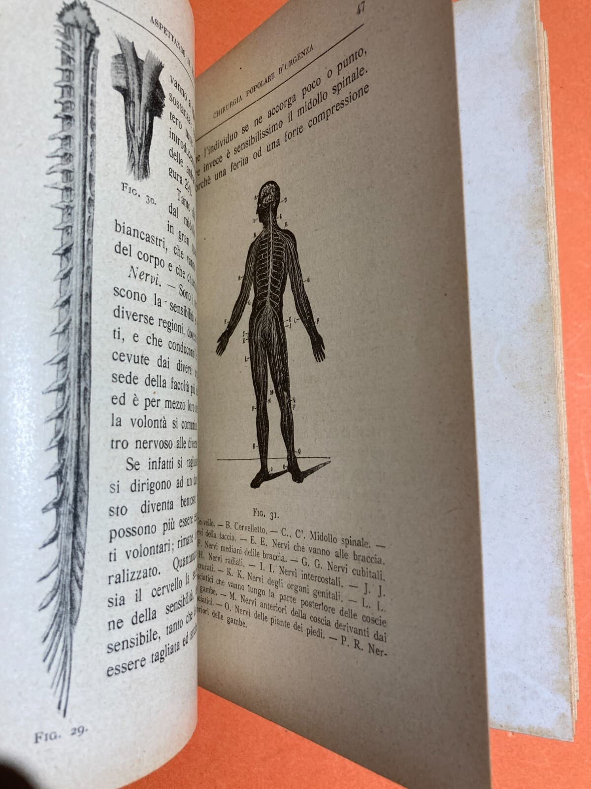 Medicina Chirurgia Popolare d'Urgenza. Aspettando Il Medico. Pronto Soccorso