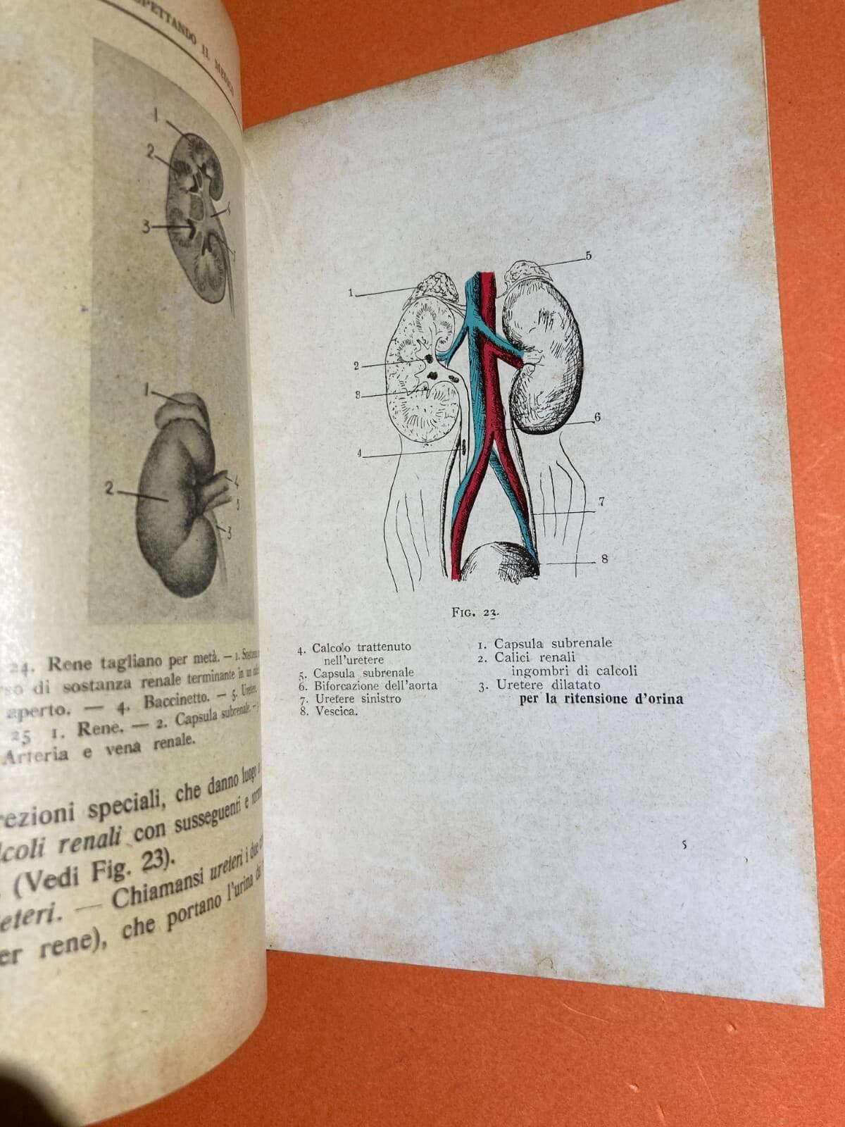 Medicina Chirurgia Popolare d'Urgenza. Aspettando Il Medico. Pronto Soccorso