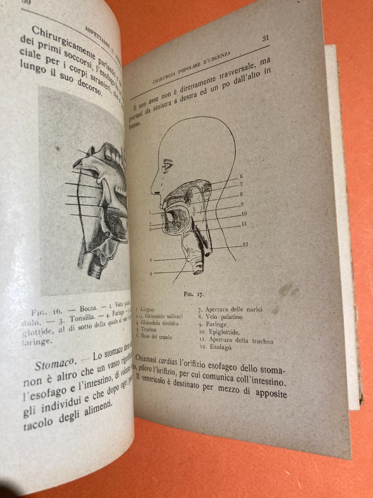 Medicina Chirurgia Popolare d'Urgenza. Aspettando Il Medico. Pronto Soccorso