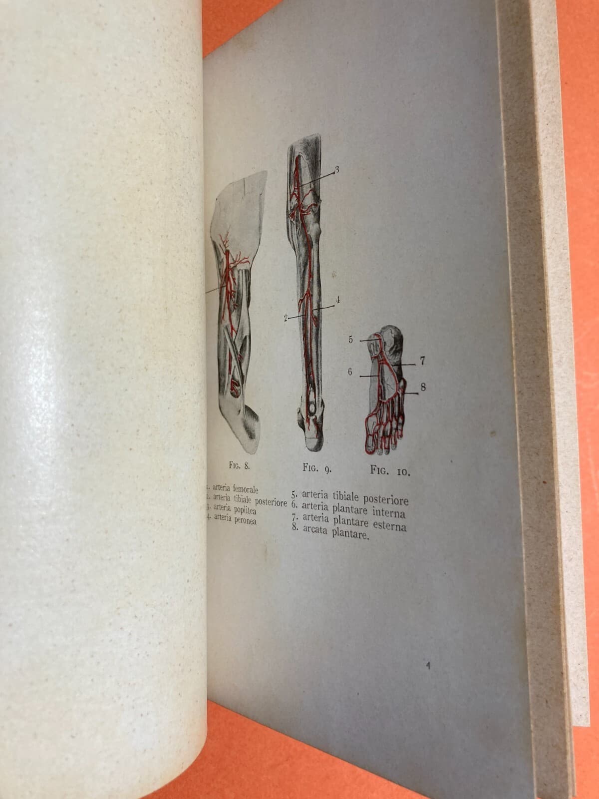 Medicina Chirurgia Popolare d'Urgenza. Aspettando Il Medico. Pronto Soccorso