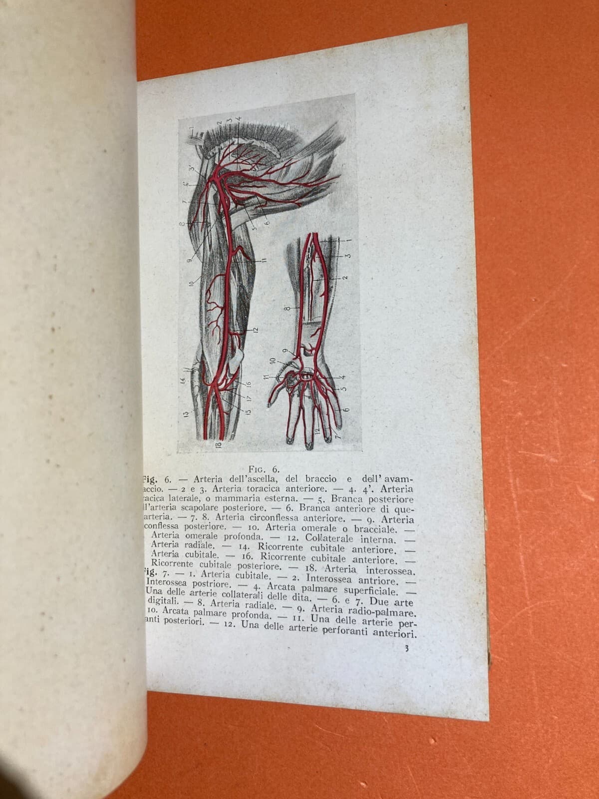 Medicina Chirurgia Popolare d'Urgenza. Aspettando Il Medico. Pronto Soccorso