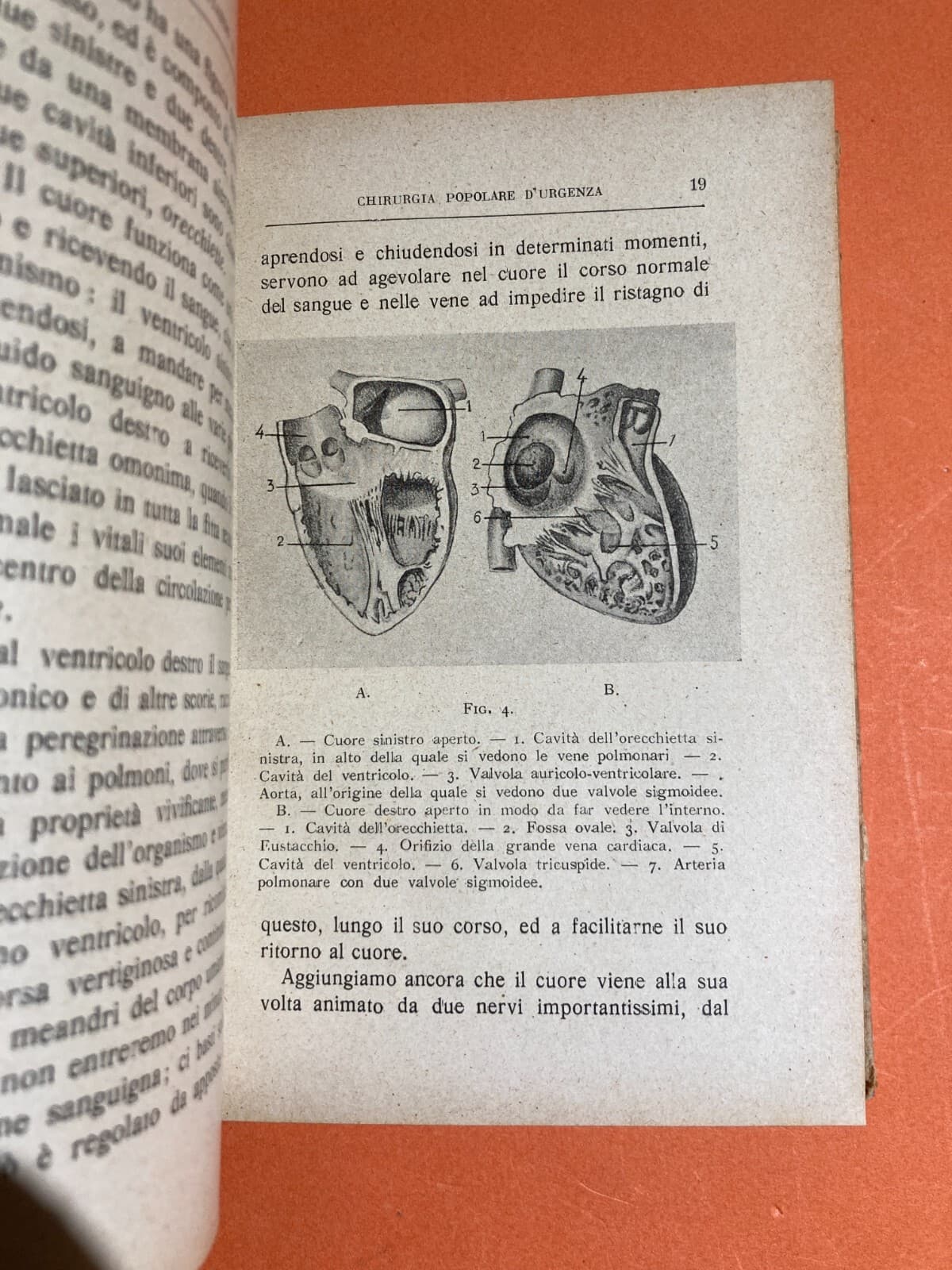 Medicina Chirurgia Popolare d'Urgenza. Aspettando Il Medico. Pronto Soccorso