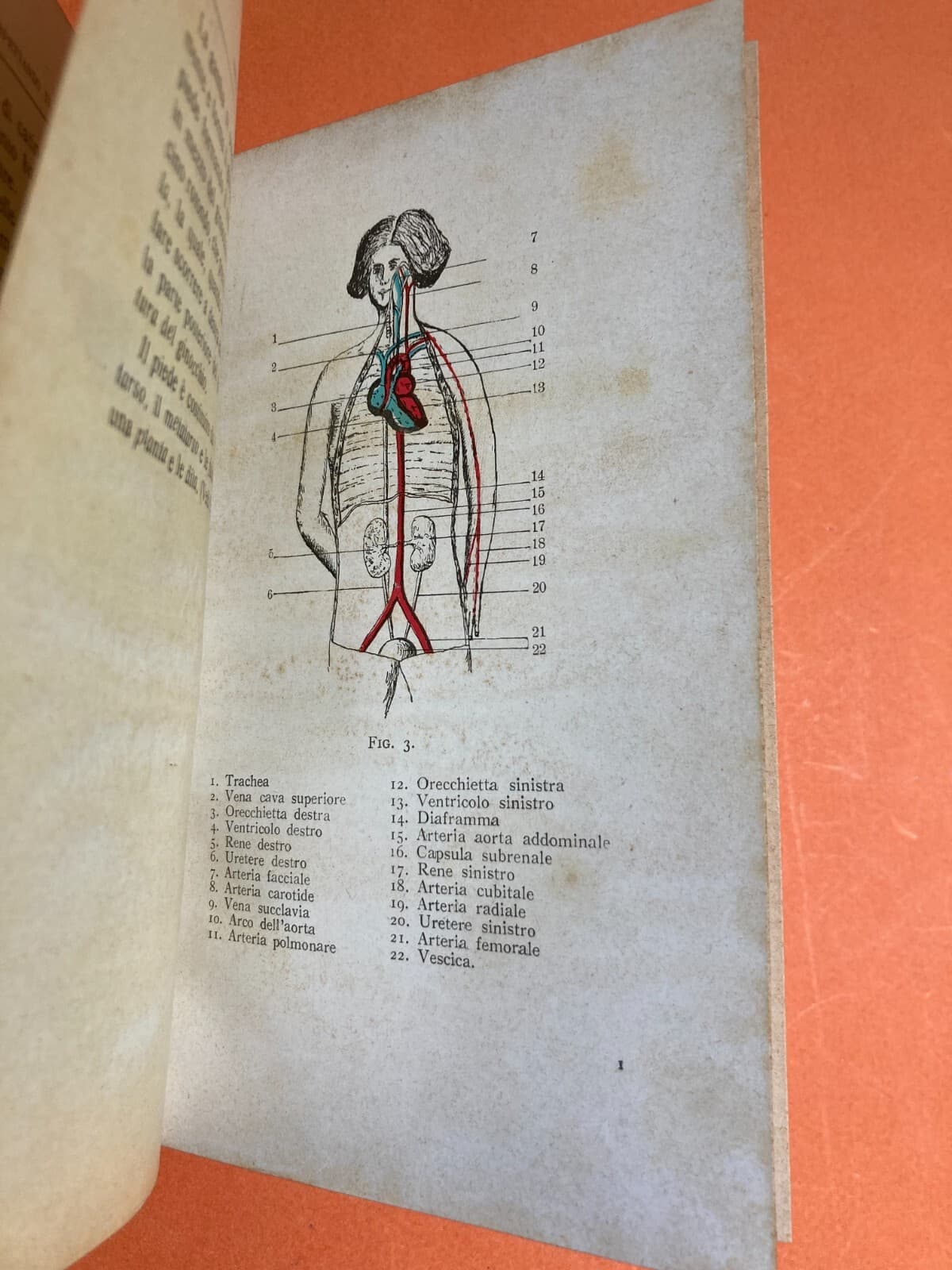 Medicina Chirurgia Popolare d'Urgenza. Aspettando Il Medico. Pronto Soccorso