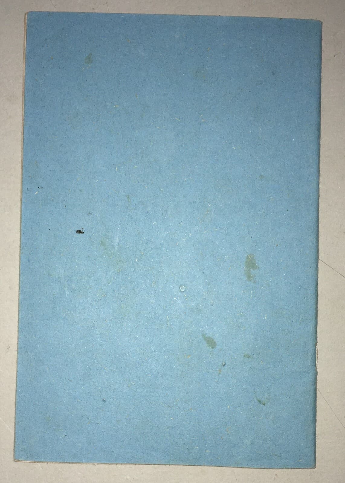 Massoneria, Puglia, Bari, Statuto Tellone Bruto: Antica Edizione Autenticata, 1877