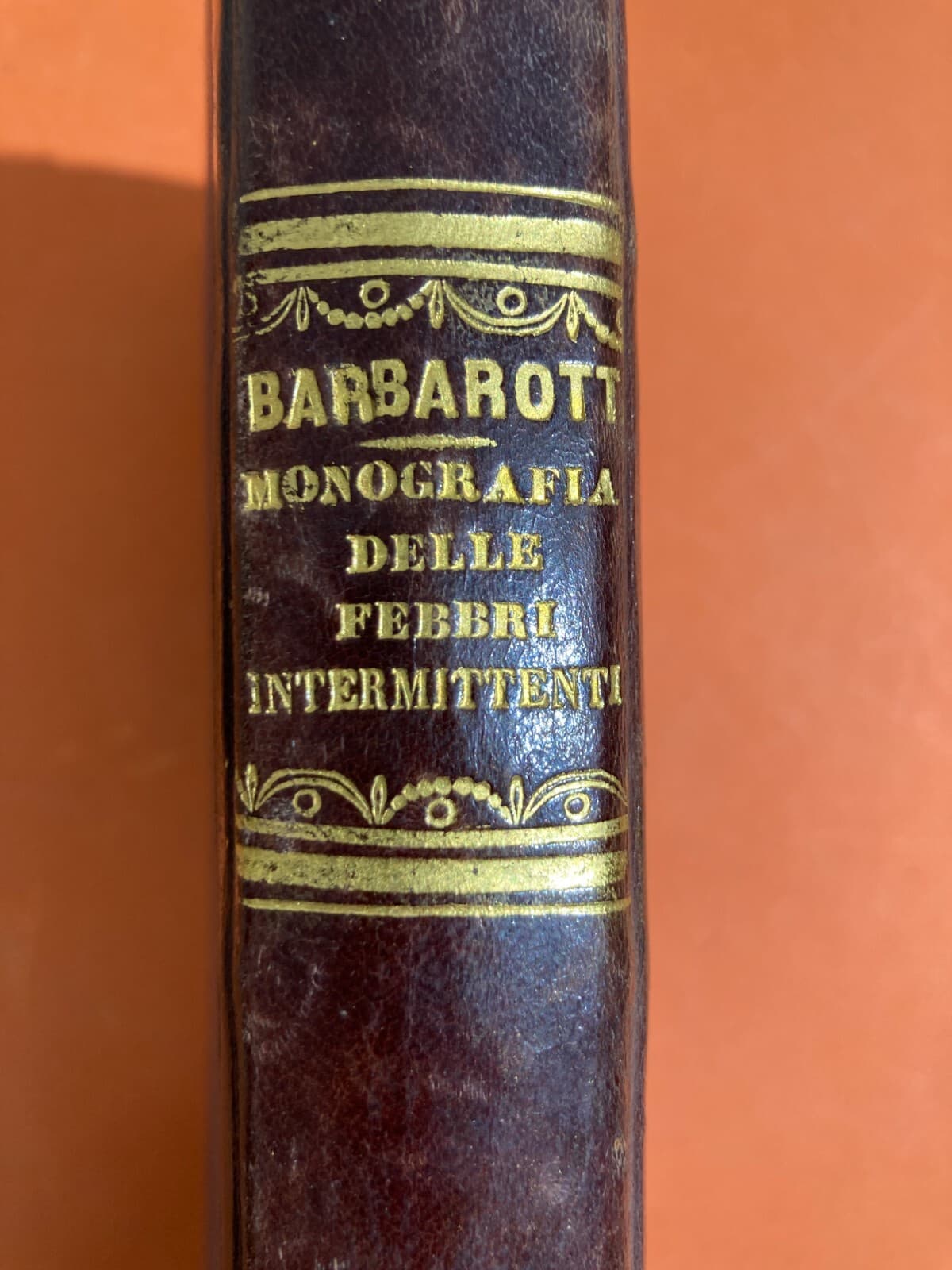Medicina: Febbri Perniciose, Colera E Casi Clinici A Vasto (Abruzzo). Opere Di Giacinto Barbarotta, 1856 1858