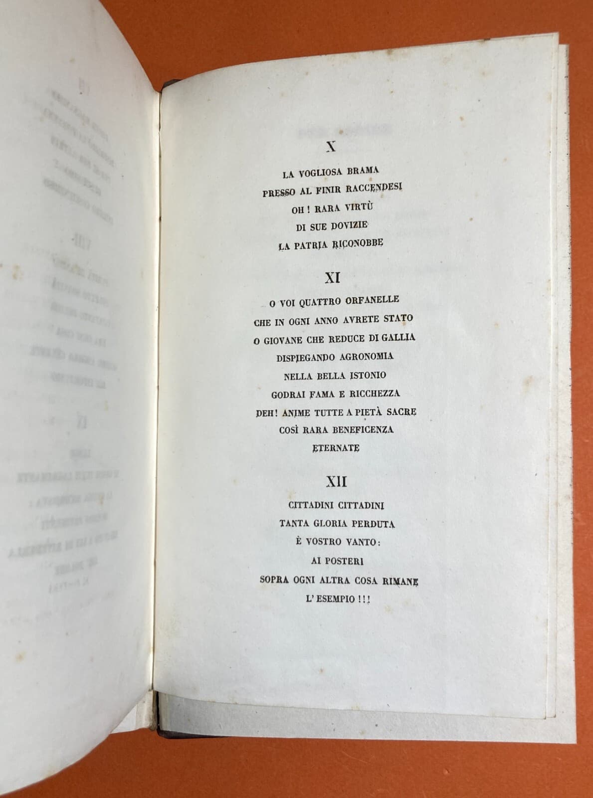 Medicina: Febbri Perniciose, Colera E Casi Clinici A Vasto (Abruzzo). Opere Di Giacinto Barbarotta, 1856 1858