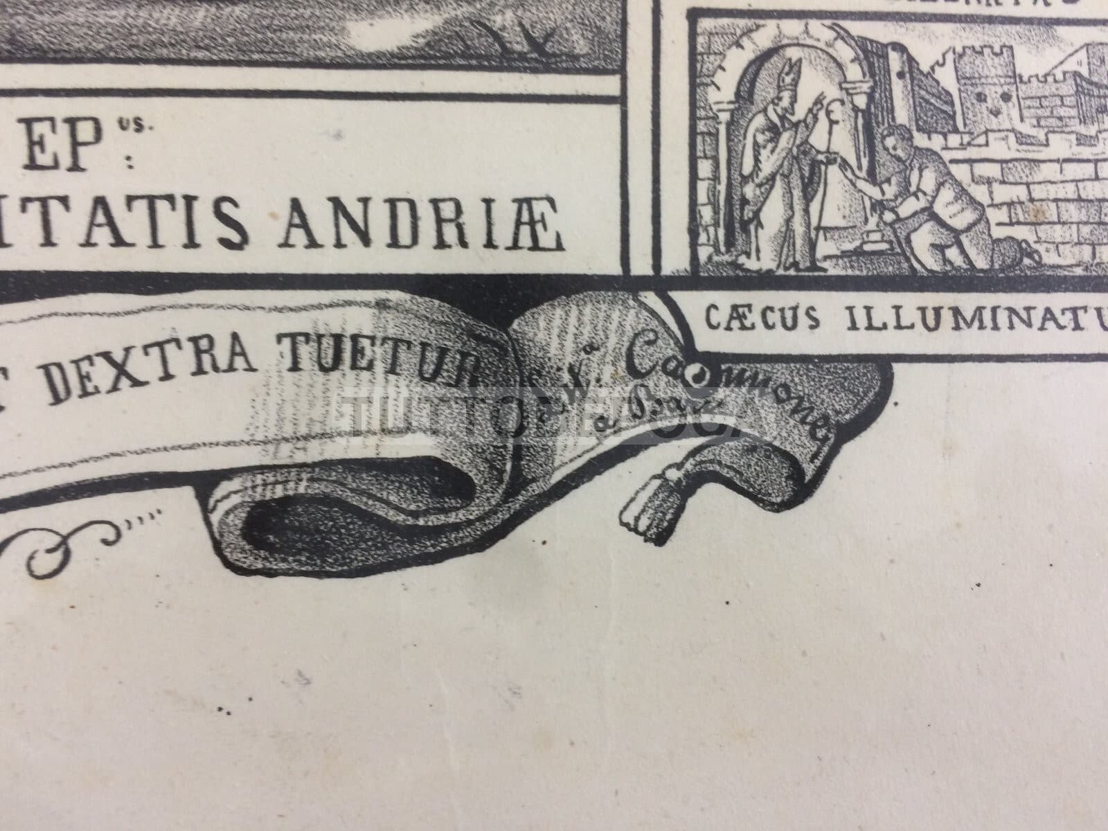 Arte Antica: Stampa Popolare Devozionale Di San Riccardo, Patrono Di Andria