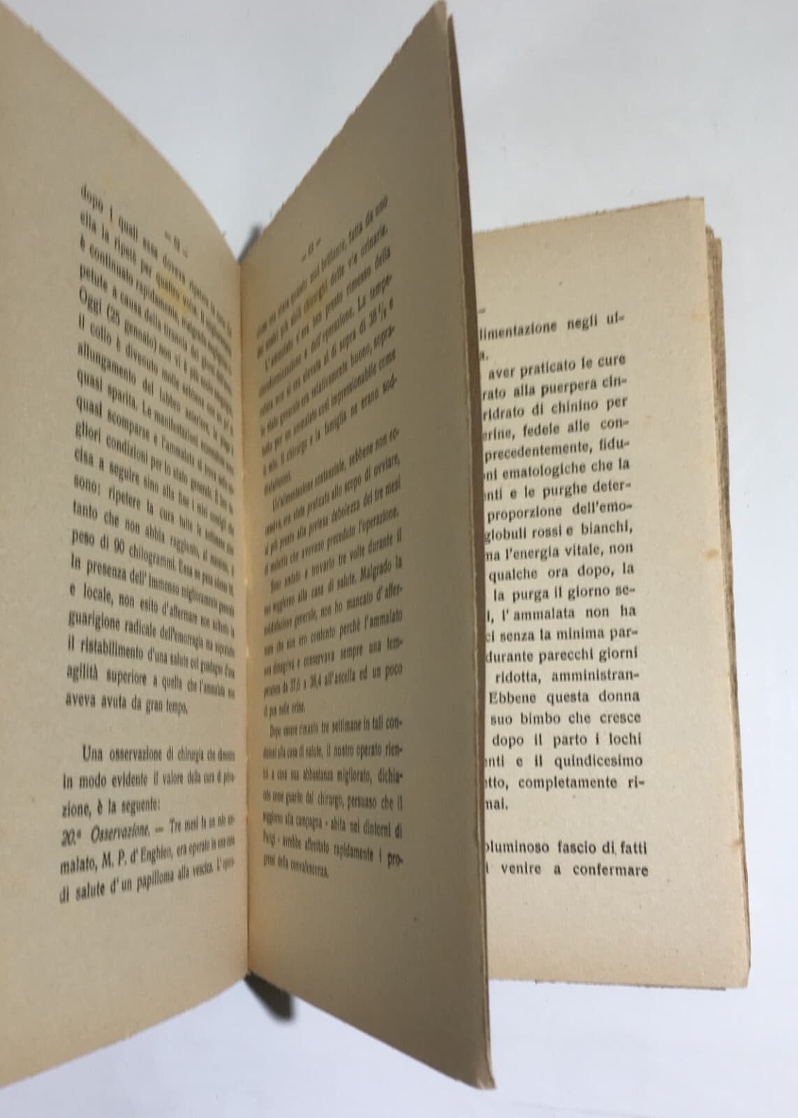 Medicina, Alimentazione, Digiuno, Purga, Cosmesi E Igiene Dei Capelli   G. Guelpa   1917