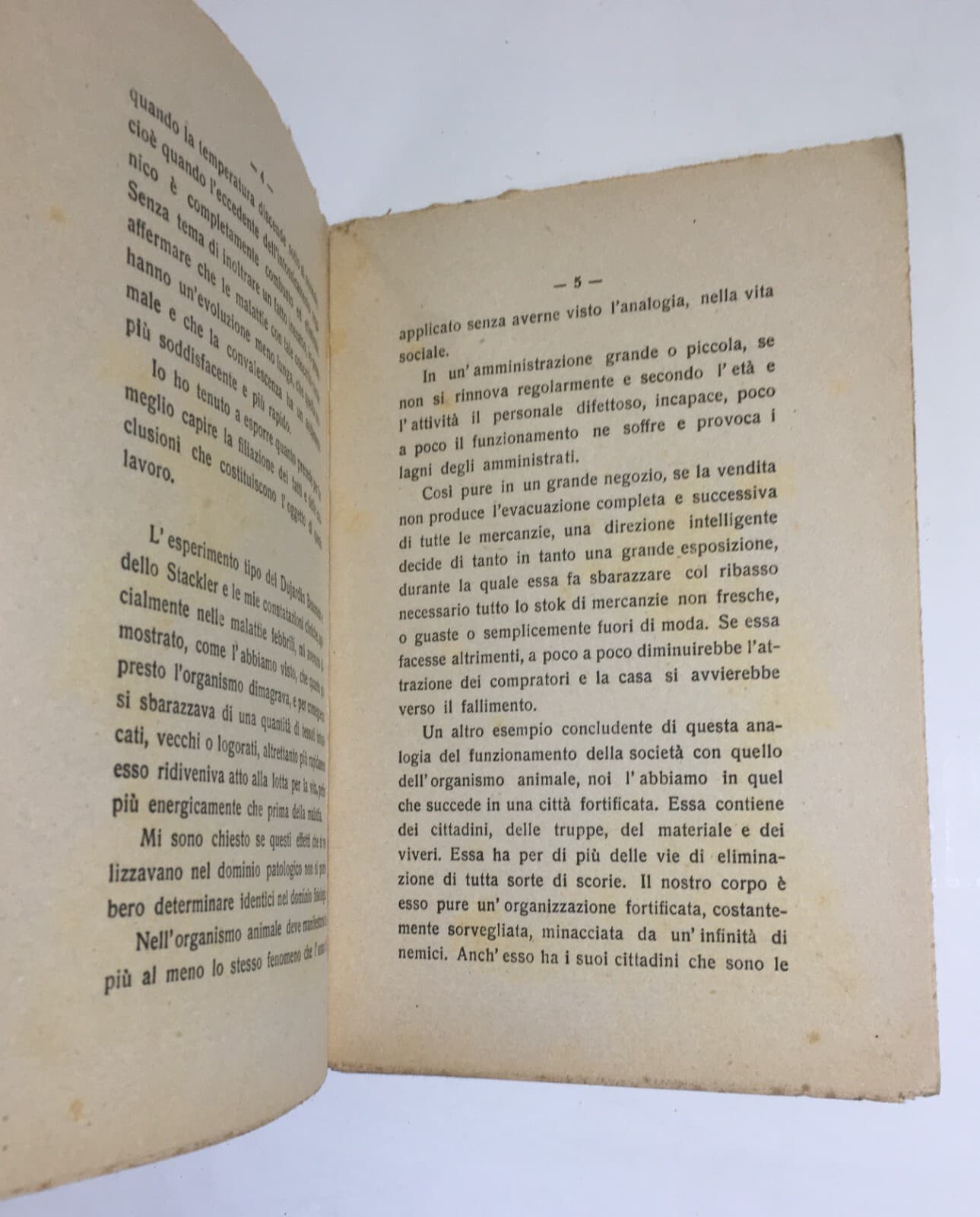 Medicina, Alimentazione, Digiuno, Purga, Cosmesi E Igiene Dei Capelli   G. Guelpa   1917