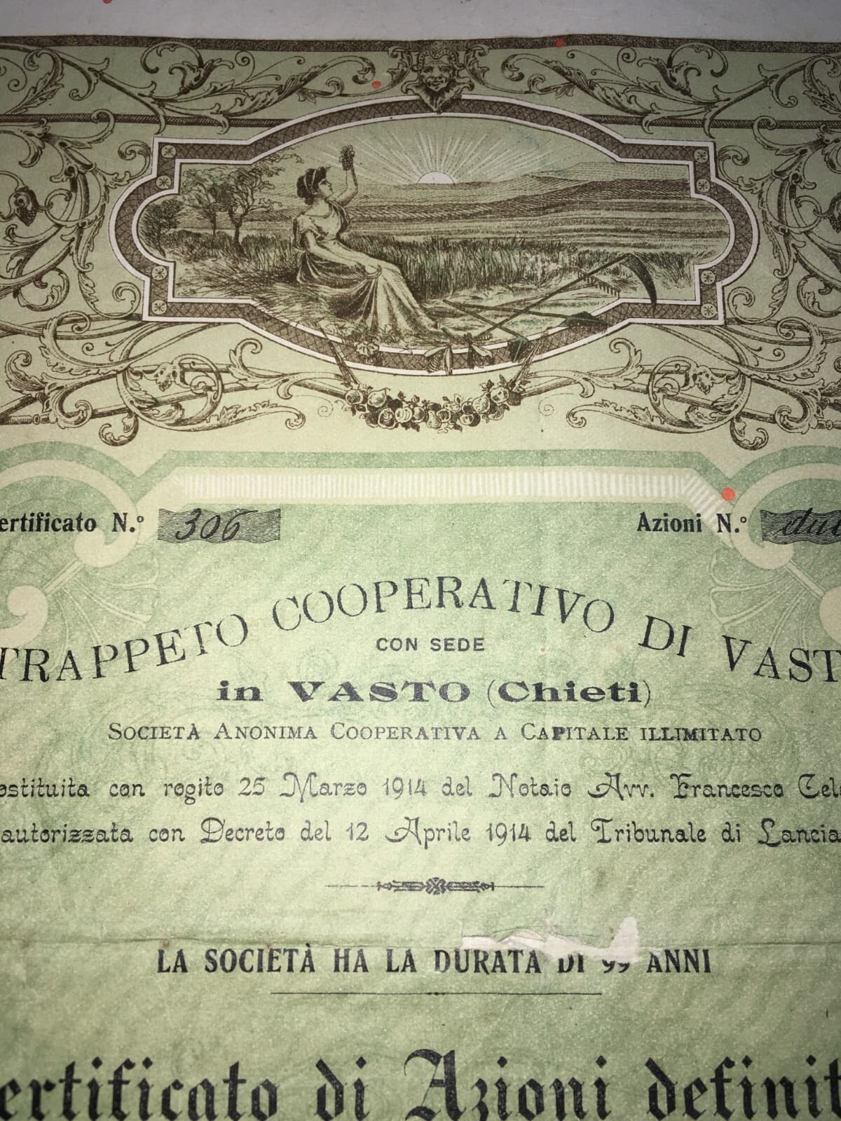 Abruzzo, Vasto: Agricoltura, Olivicoltura, Molitura Olive, Trappeto Oleificio, 1920