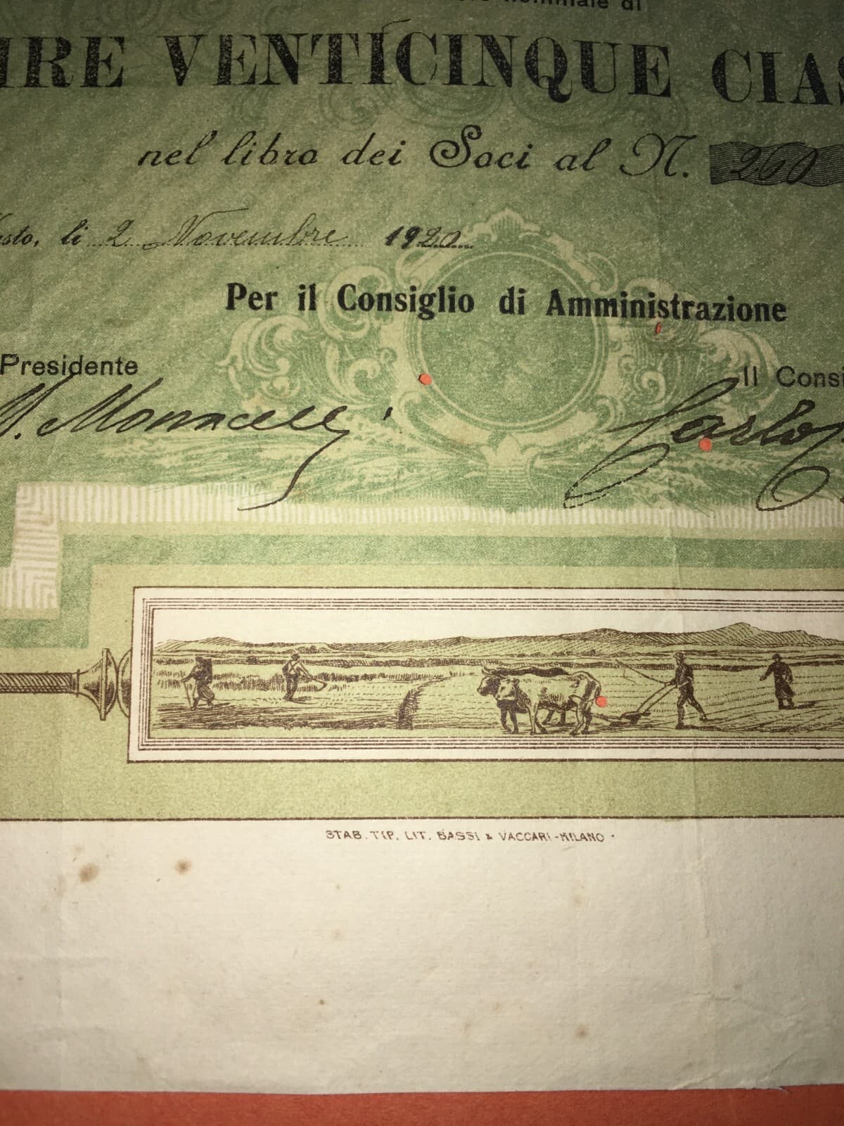 Abruzzo, Vasto: Agricoltura, Olivicoltura, Molitura Olive, Trappeto Oleificio, 1920