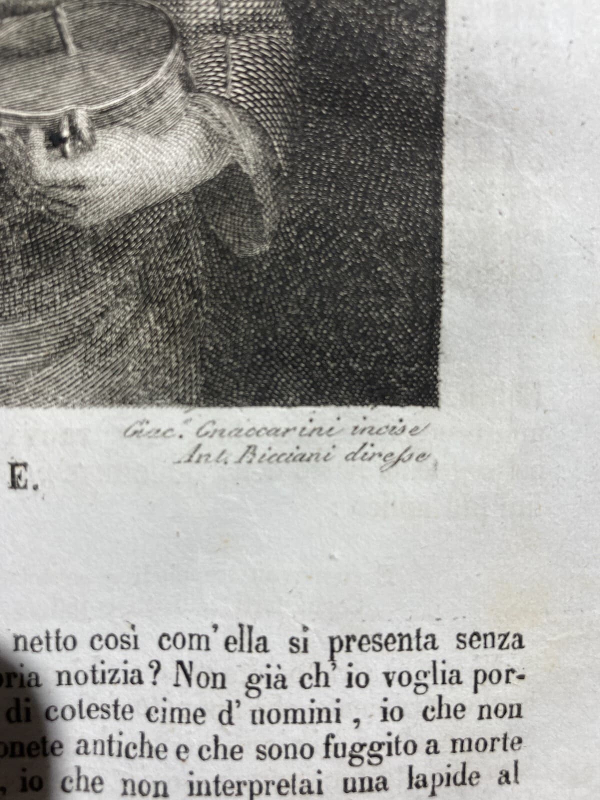 Musica: Il Giovine Suonatore. Incisione Di Gnaccarini Su Disegno Di Antonio Bicciani, 1839