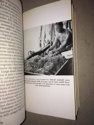 L'Avventura Della Zaca. Storia Naturale E Zoologia Marina (William Beebe, 1956)