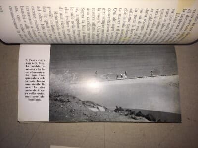 L'Avventura Della Zaca. Storia Naturale E Zoologia Marina (William Beebe, 1956)