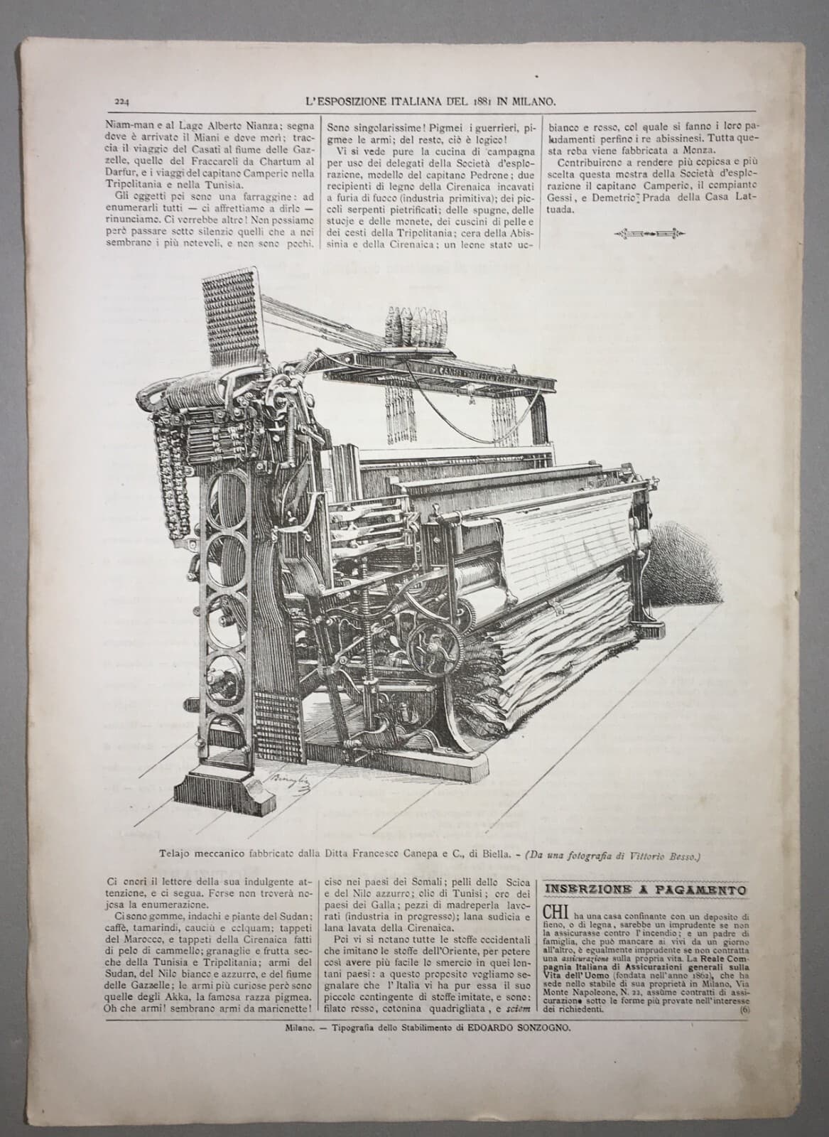 Milano: Esposizione Del 1881, Tessitura, Tessuti, Grande Telaio, Ditta Canepa, Biella
