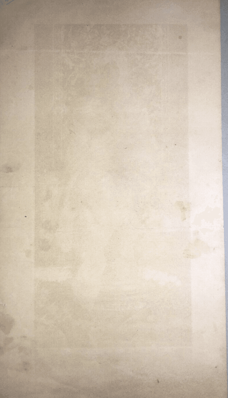 Arte Devozionale: Madonna Dell'Ulivo, Antica Cromolitografia Decorativa A Colori