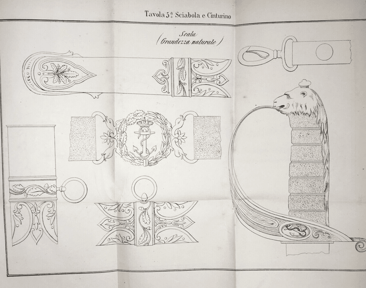 Mare, Marineria, Militaria, Uniformi, Sciabola, Cinturino, Antica Litografia, '800