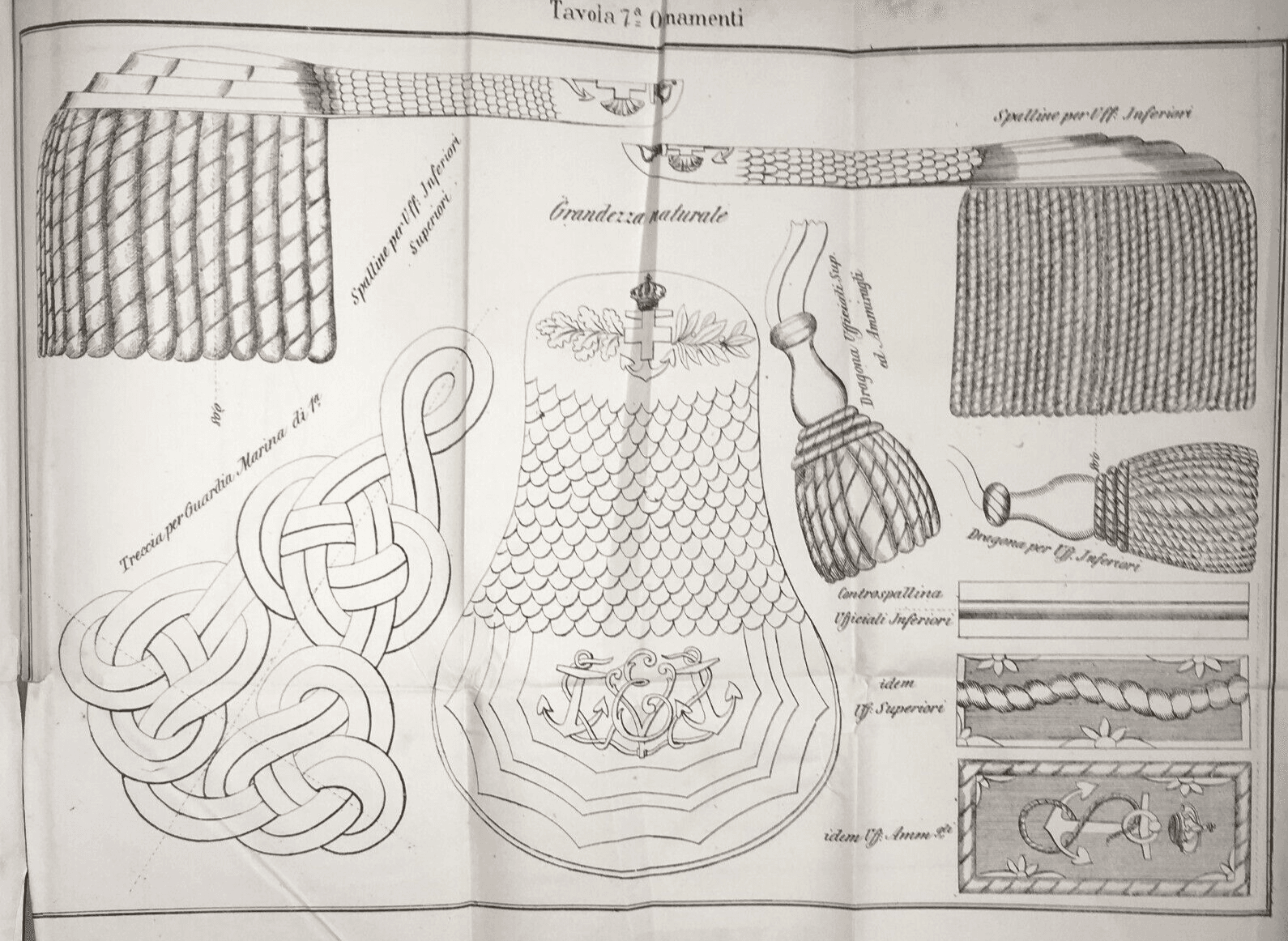 Mare   Marineria   Militaria   Uniformi   Ornamenti   Spalline   Dragona   Treccia   Antica Litografia