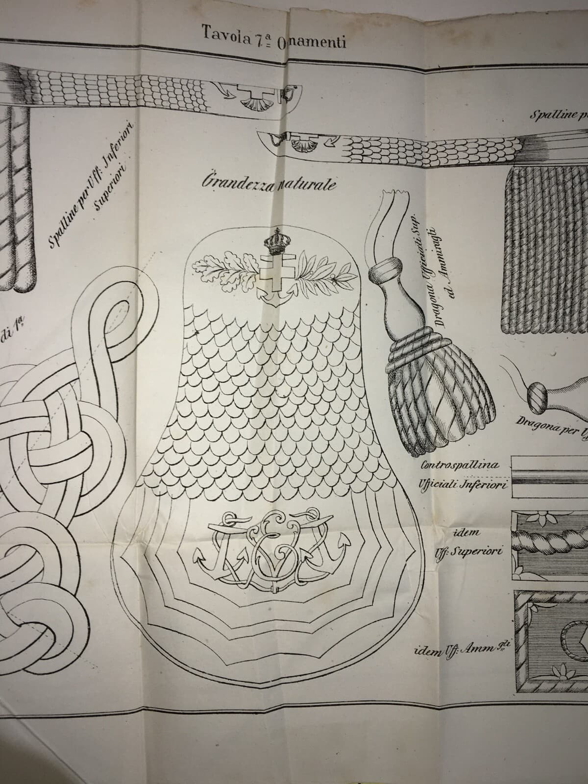 Mare   Marineria   Militaria   Uniformi   Ornamenti   Spalline   Dragona   Treccia   Antica Litografia