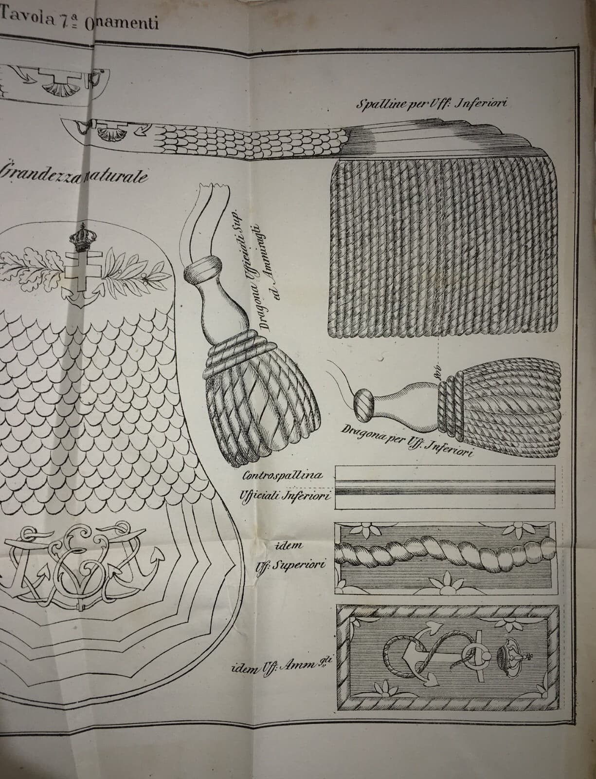 Mare   Marineria   Militaria   Uniformi   Ornamenti   Spalline   Dragona   Treccia   Antica Litografia