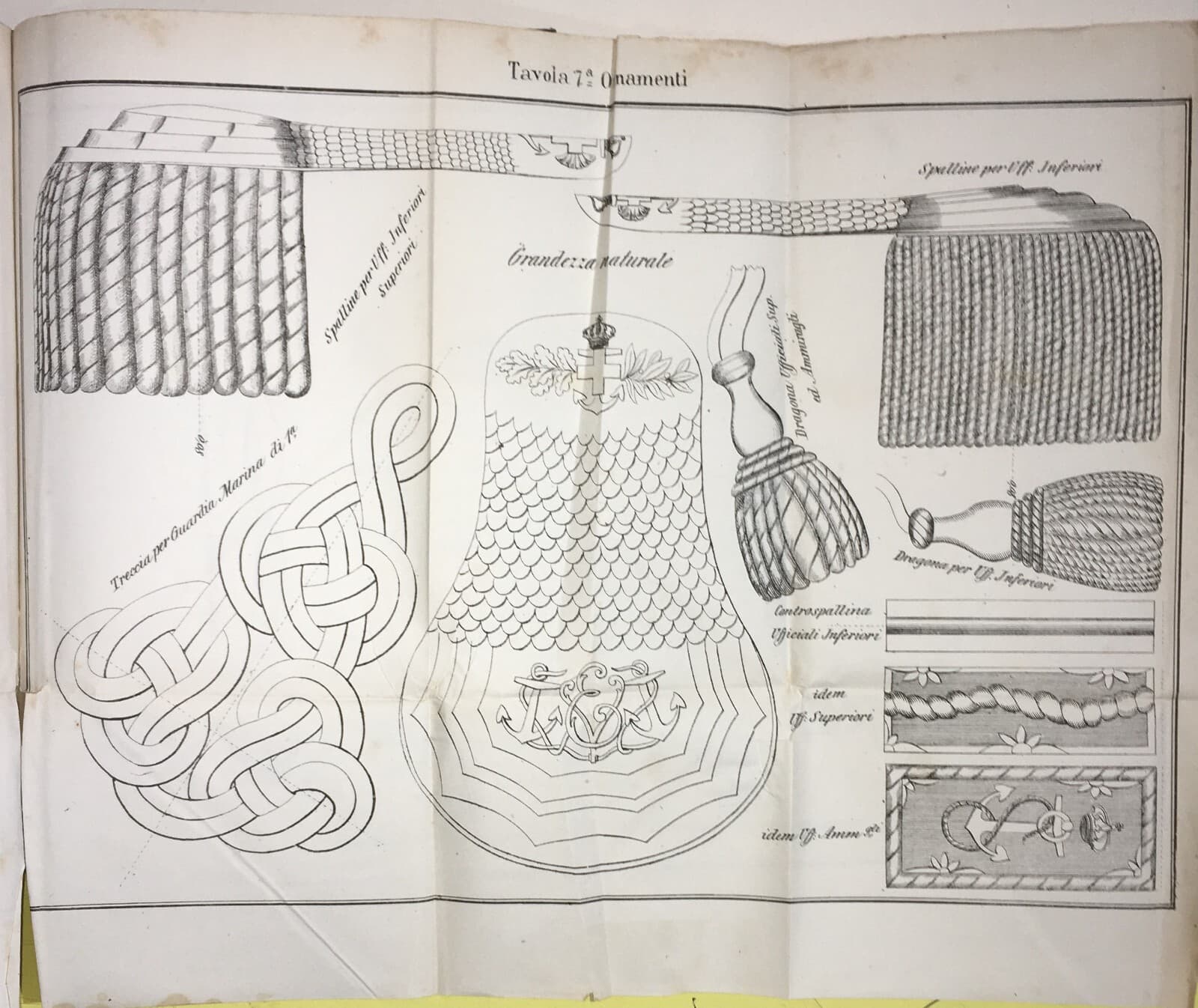 Mare   Marineria   Militaria   Uniformi   Ornamenti   Spalline   Dragona   Treccia   Antica Litografia