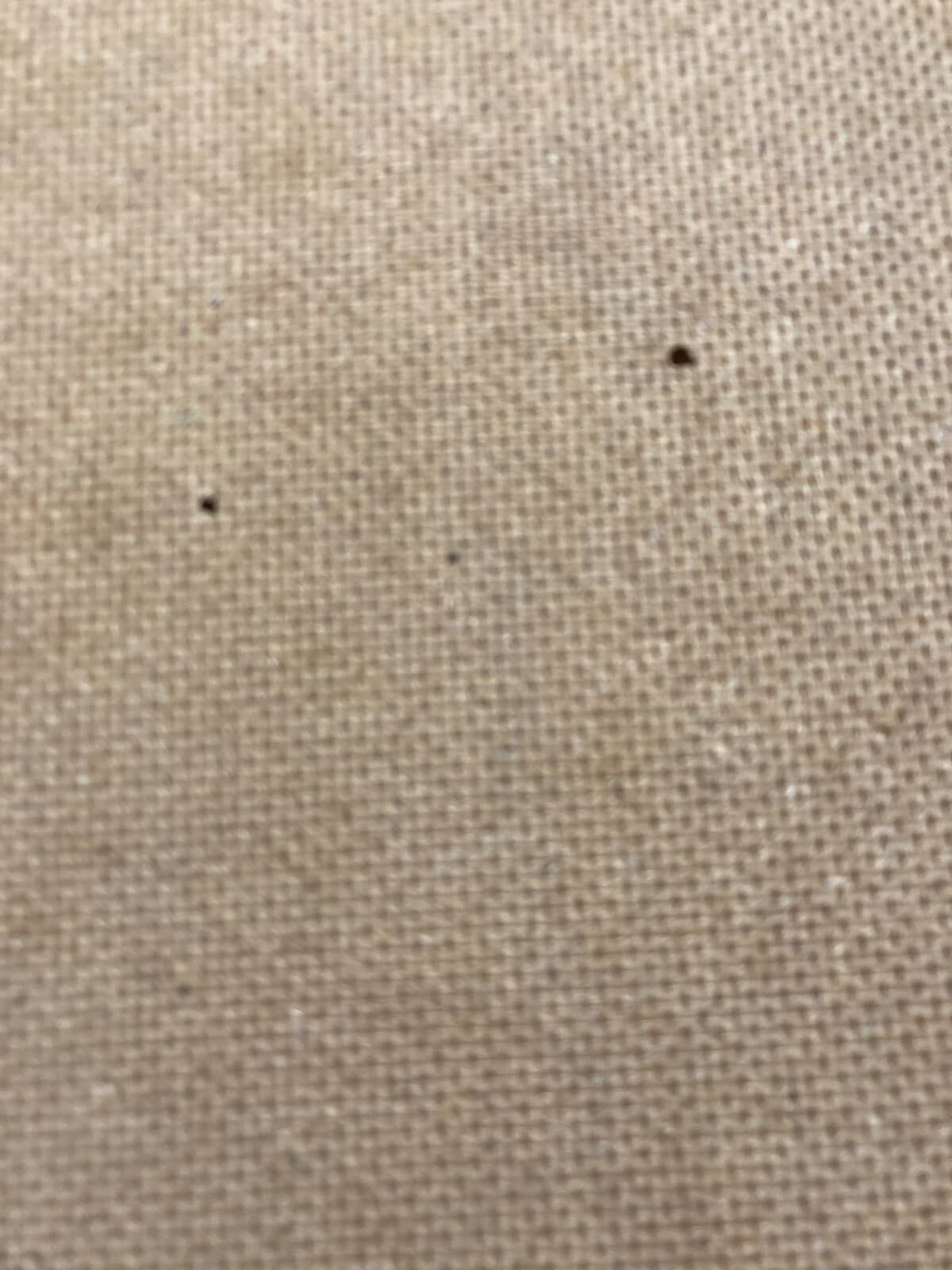 Veduta Paesaggistica Rurale Attribuita Ad Anselmo Bucci