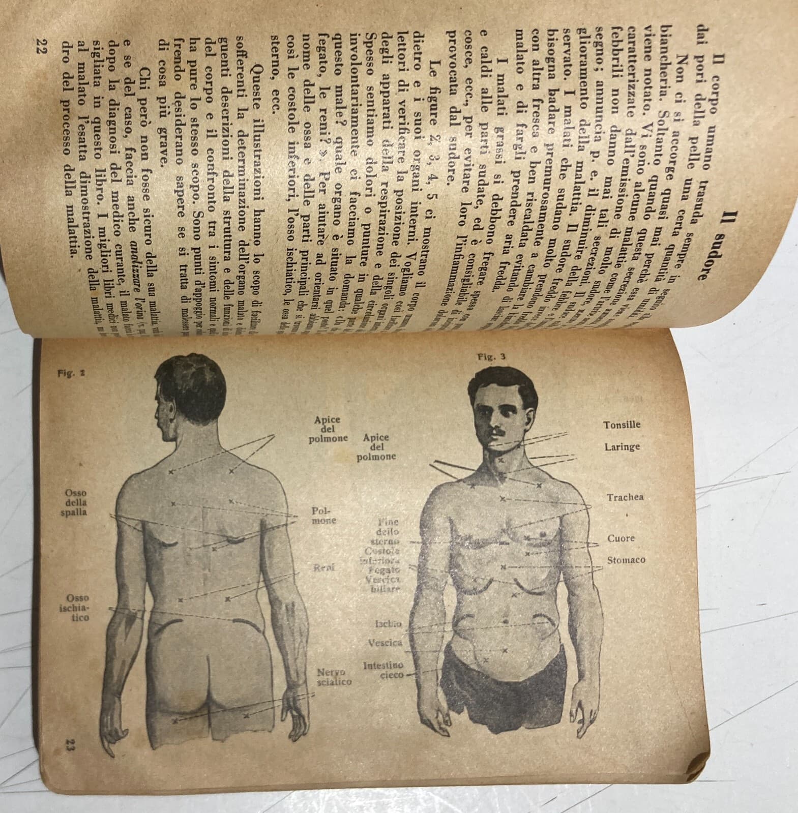 Medicina Farmacia: Manuale Medico Terapeutico E Pubblicitario Farmaceutico Heumann