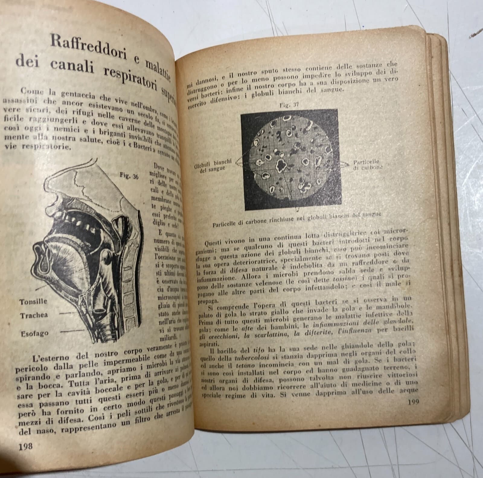 Medicina Farmacia: Manuale Medico Terapeutico E Pubblicitario Farmaceutico Heumann